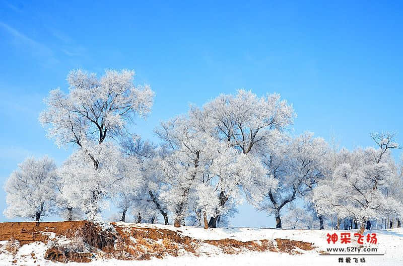 DSC_4135.jpg