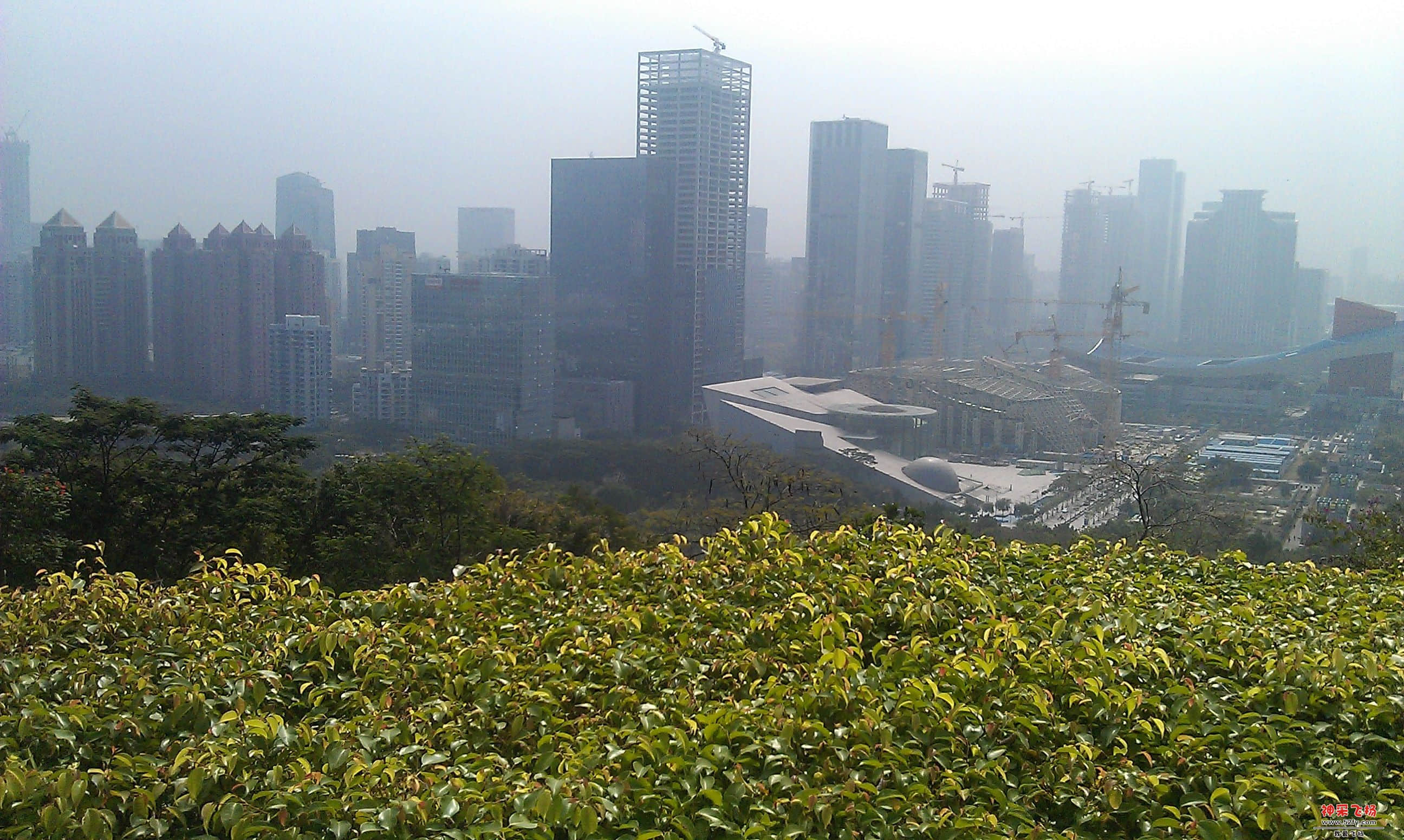 连花山.jpg