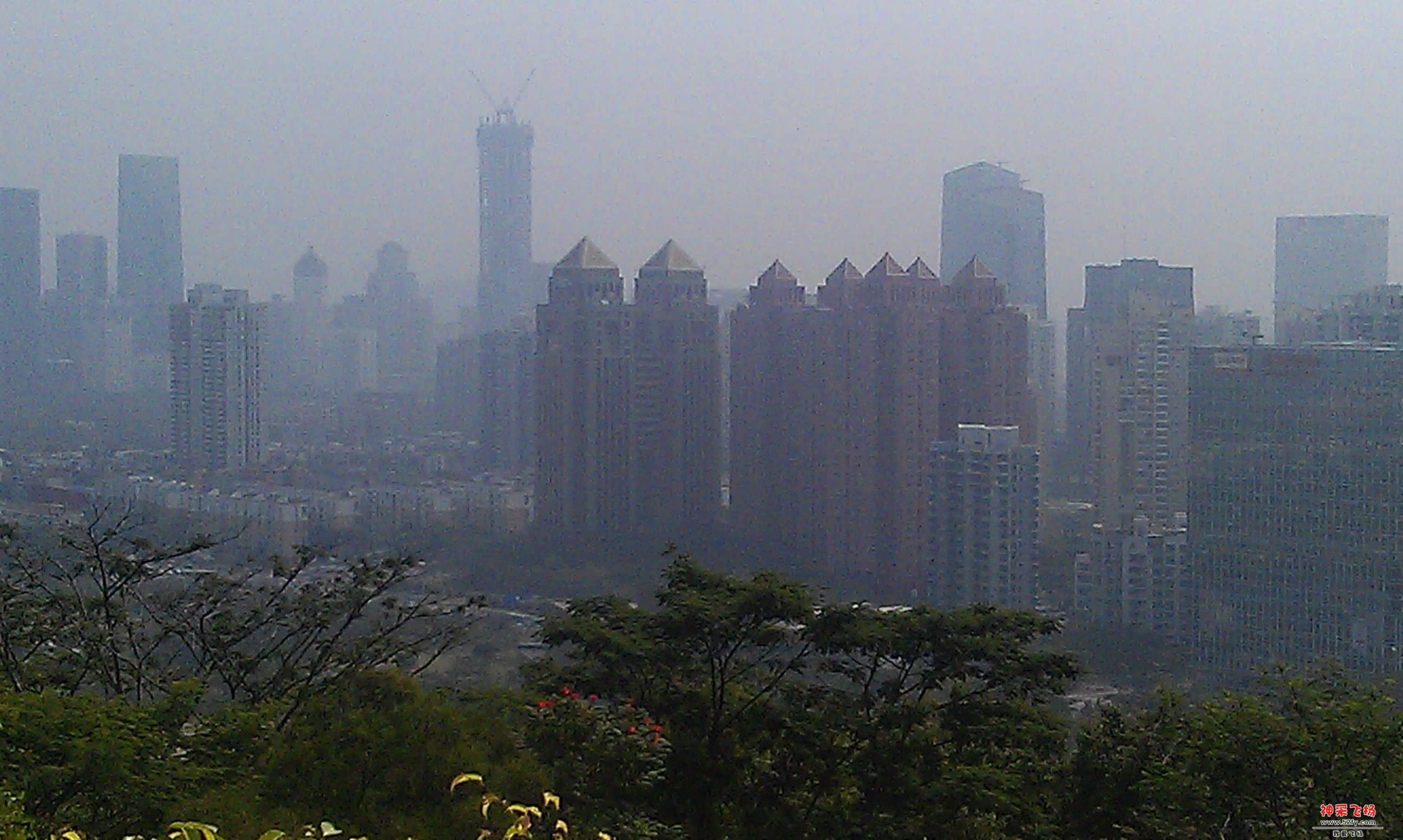 连花山3.jpg