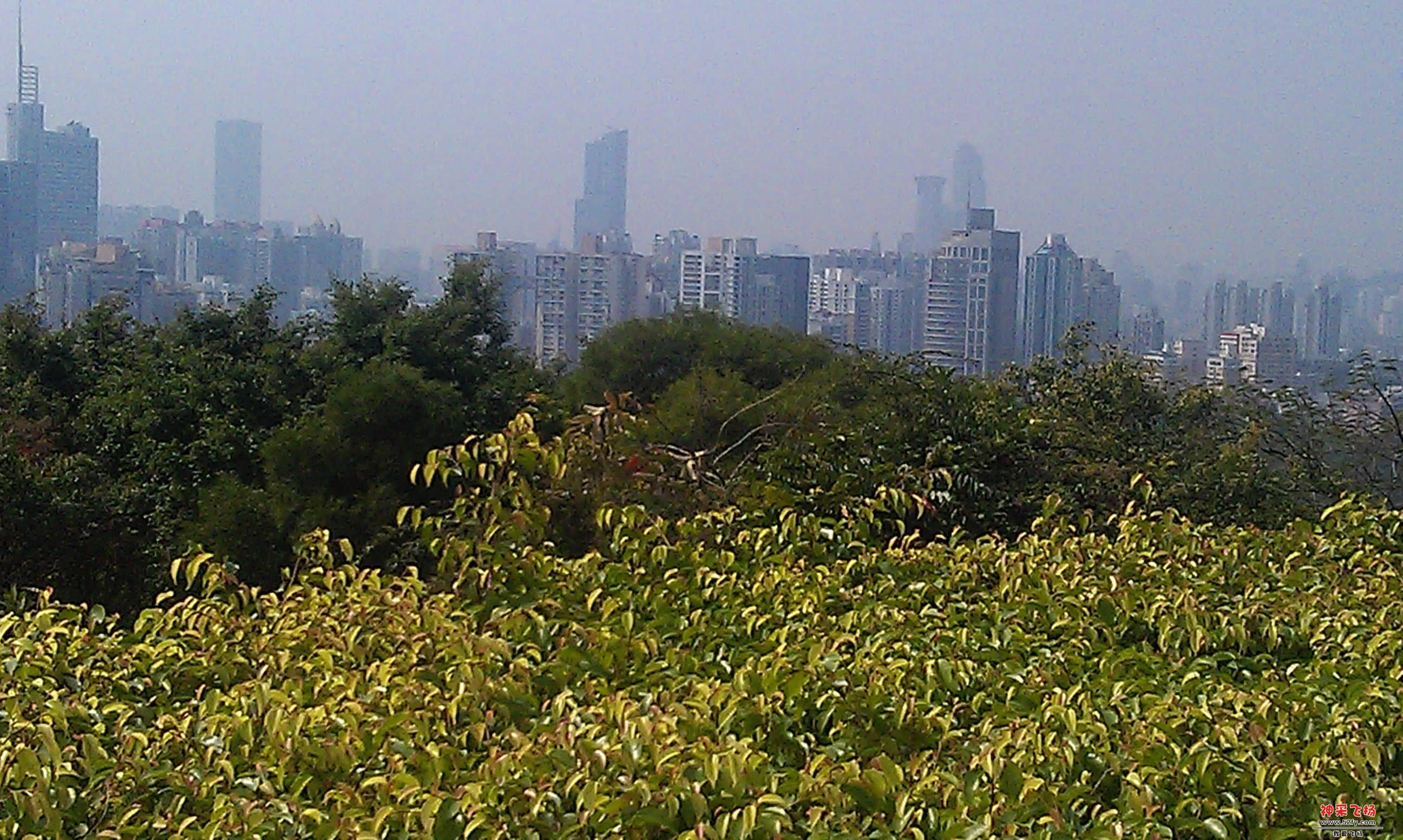 连花山4.jpg