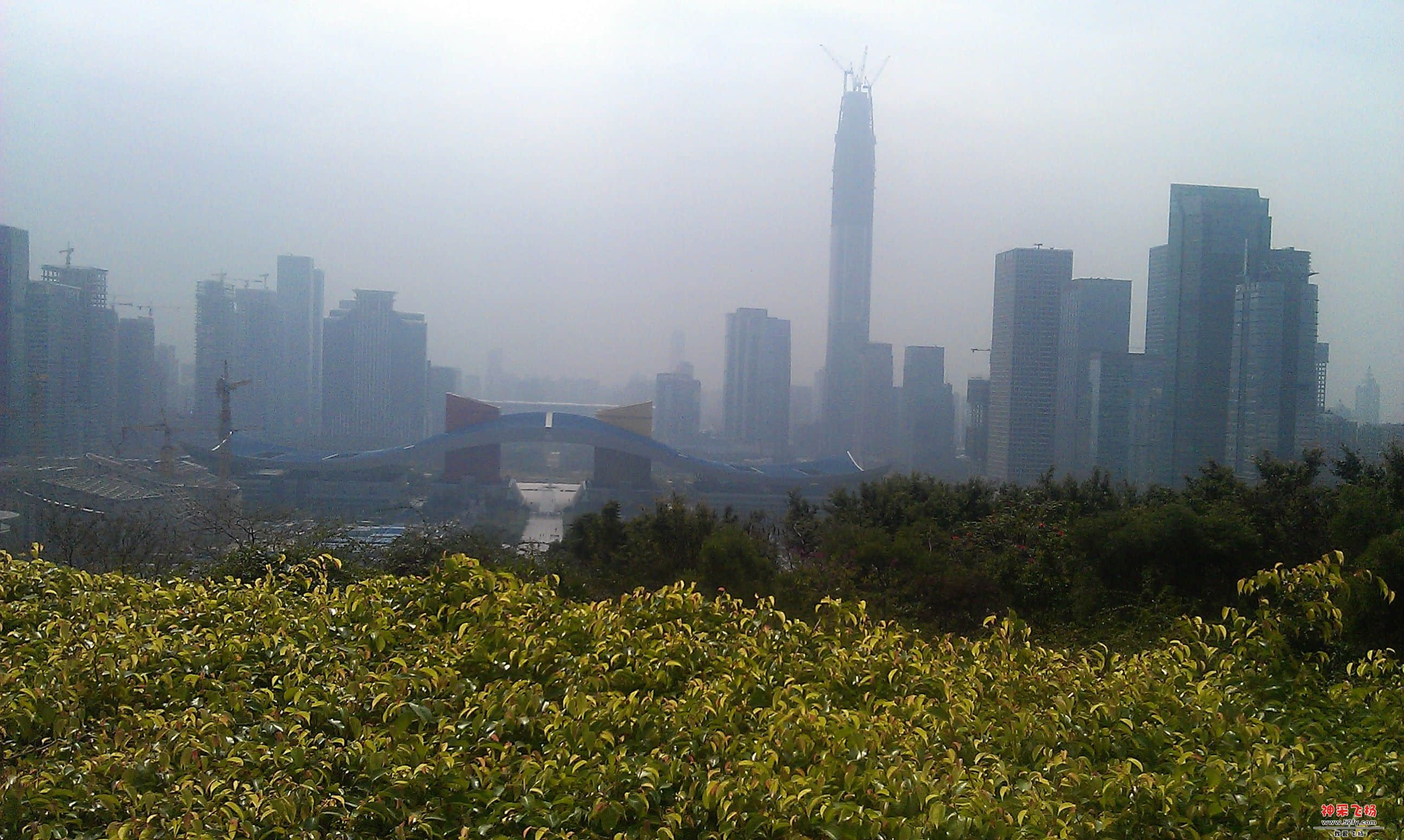 连花山5.jpg