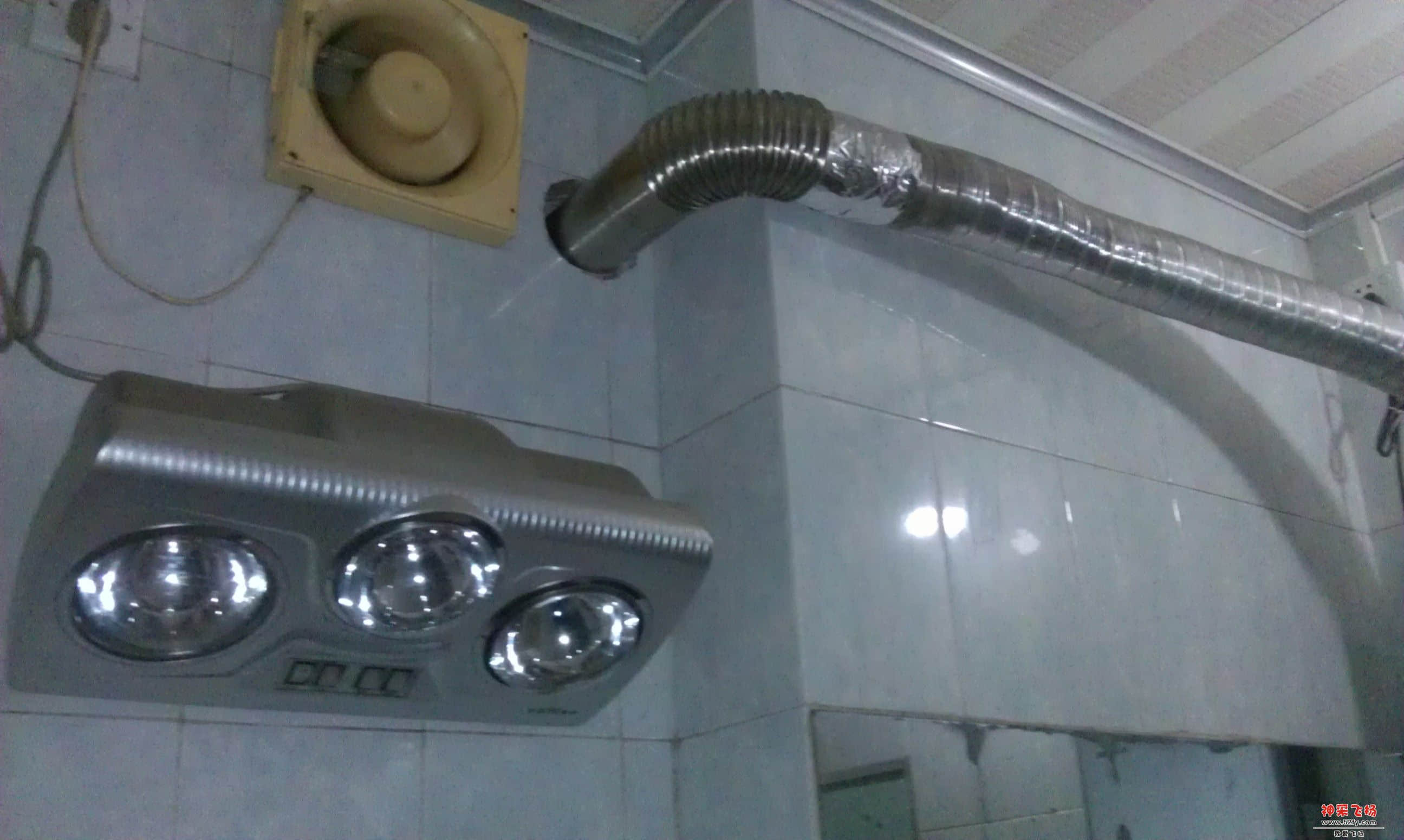 IMAG0006.jpg