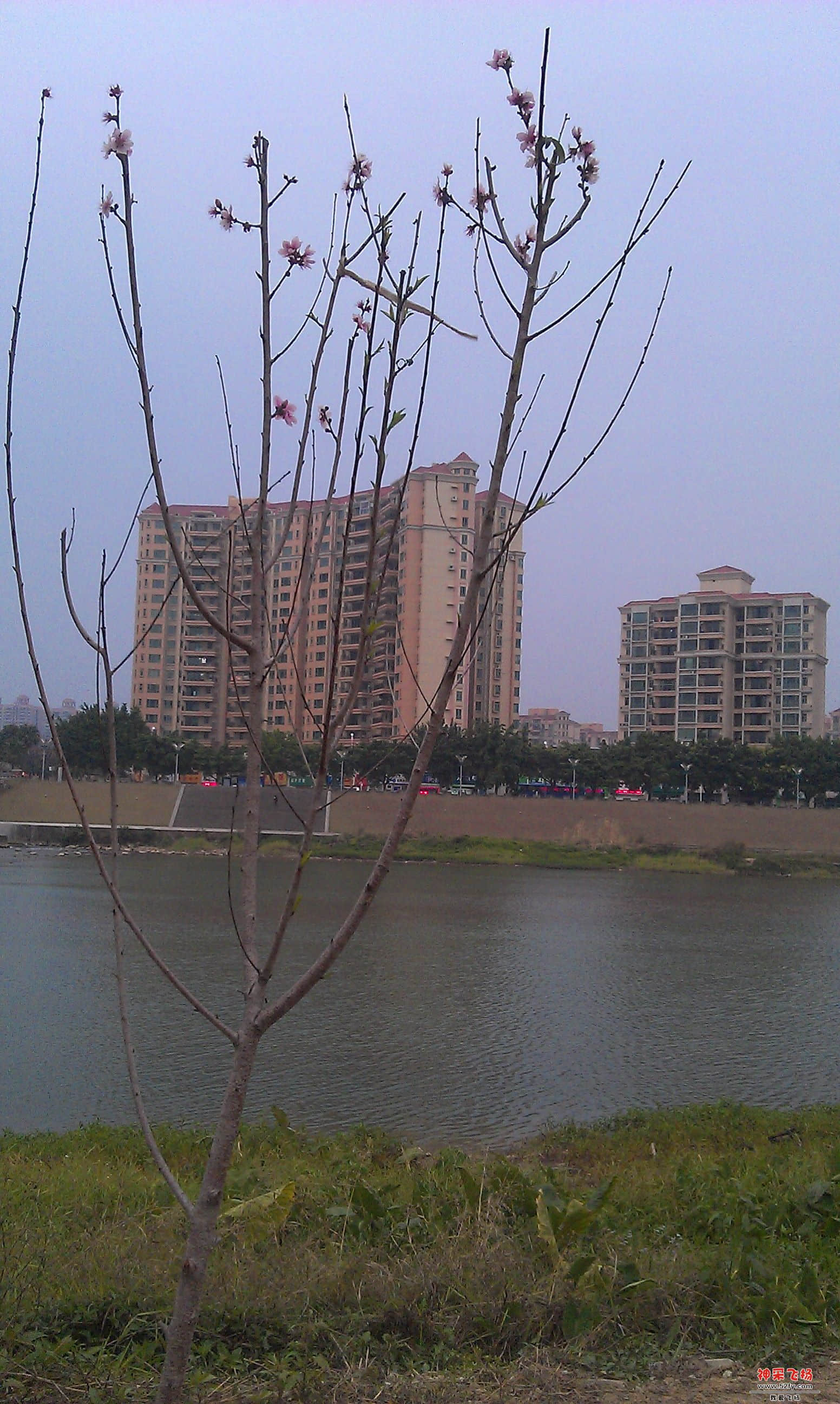 IMAG0017.jpg