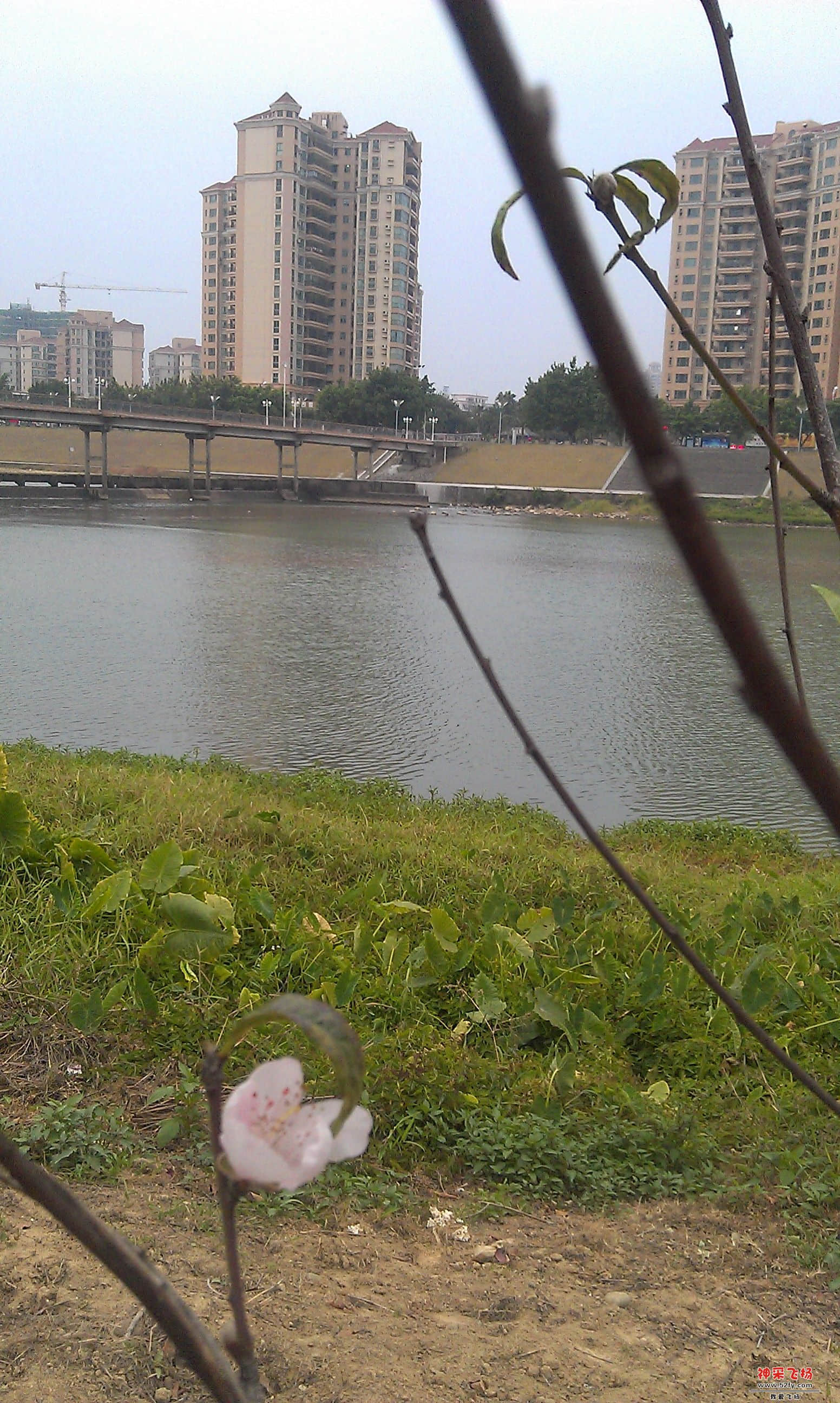 IMAG0018.jpg