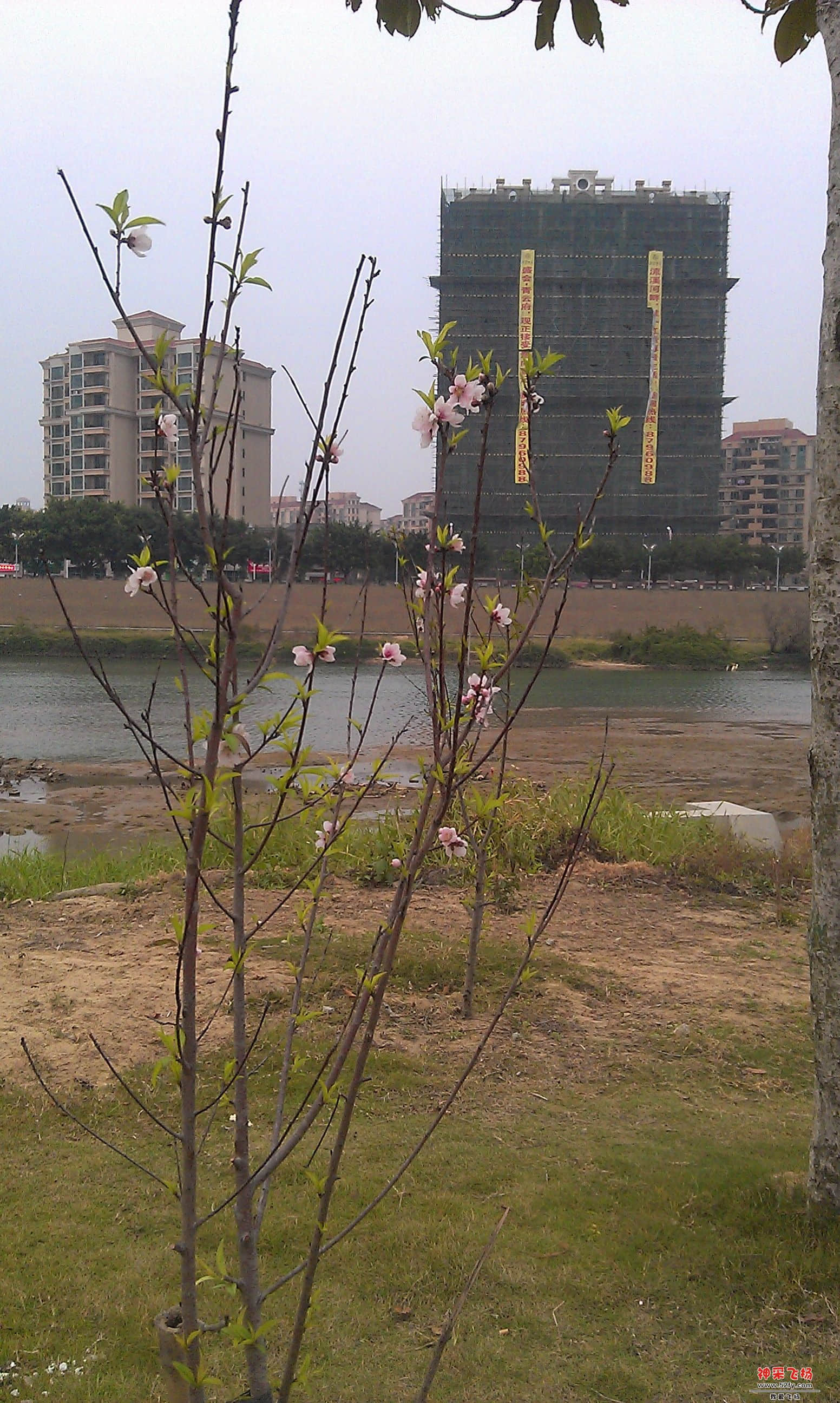 IMAG0019.jpg