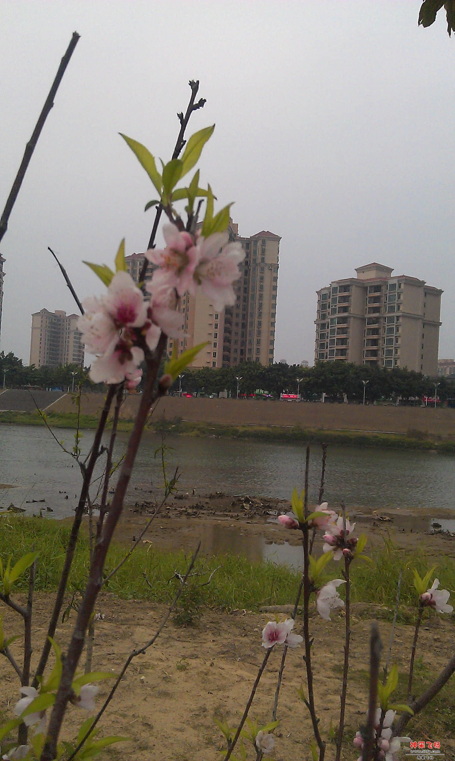 IMAG0020.jpg