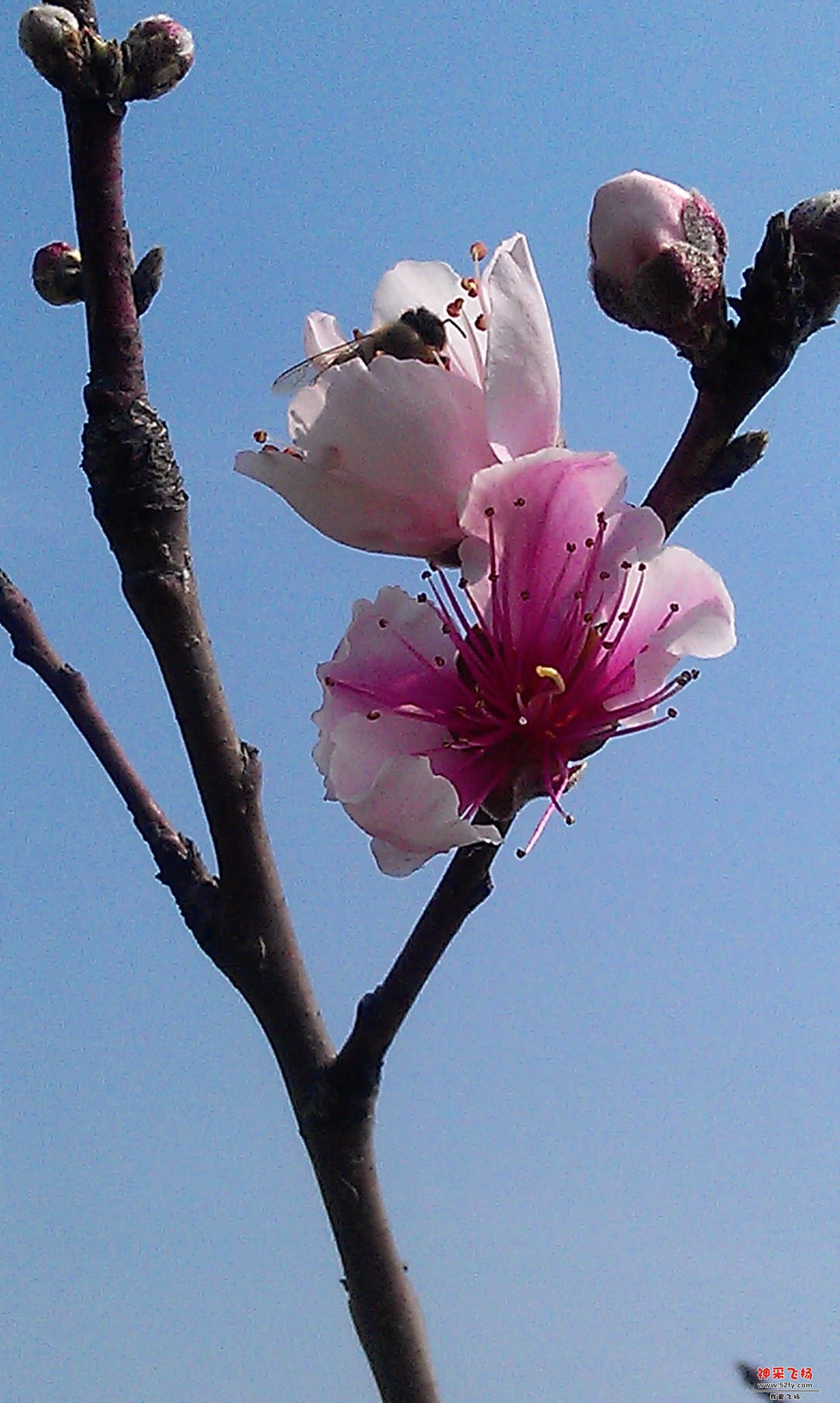 IMAG0003.jpg