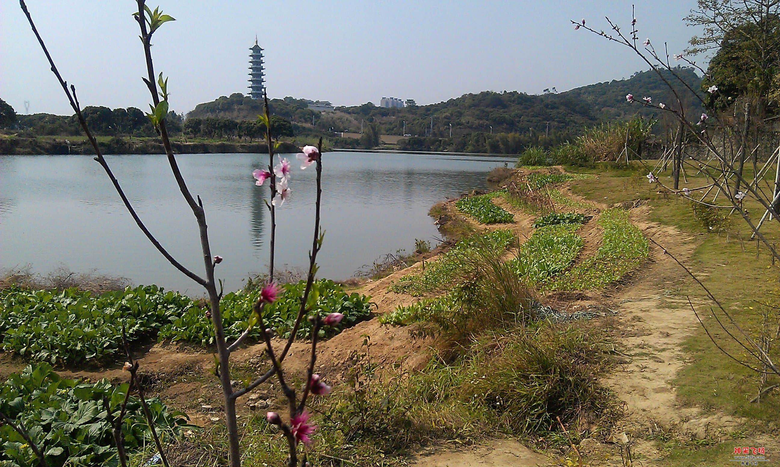 IMAG0012.jpg