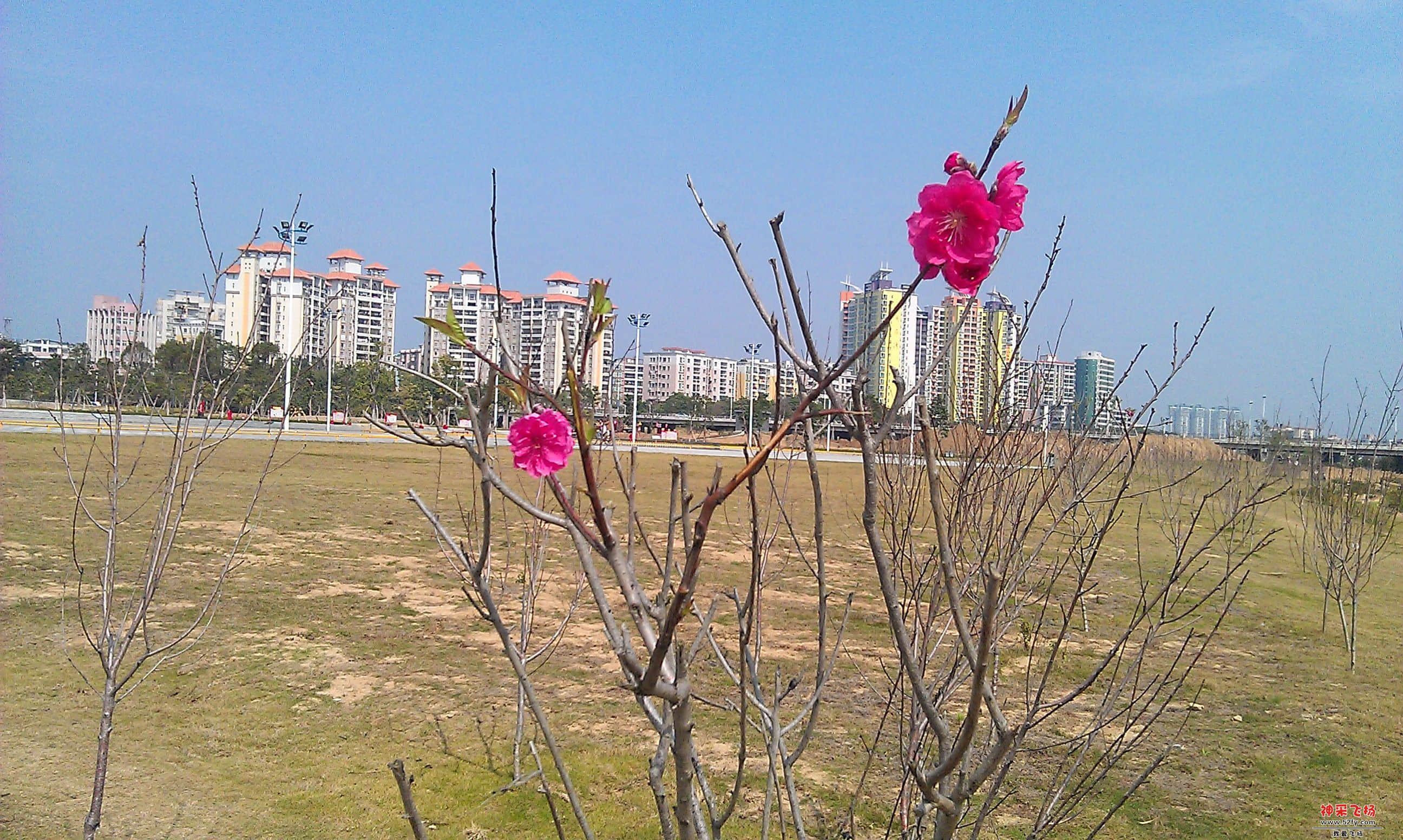 IMAG0015.jpg
