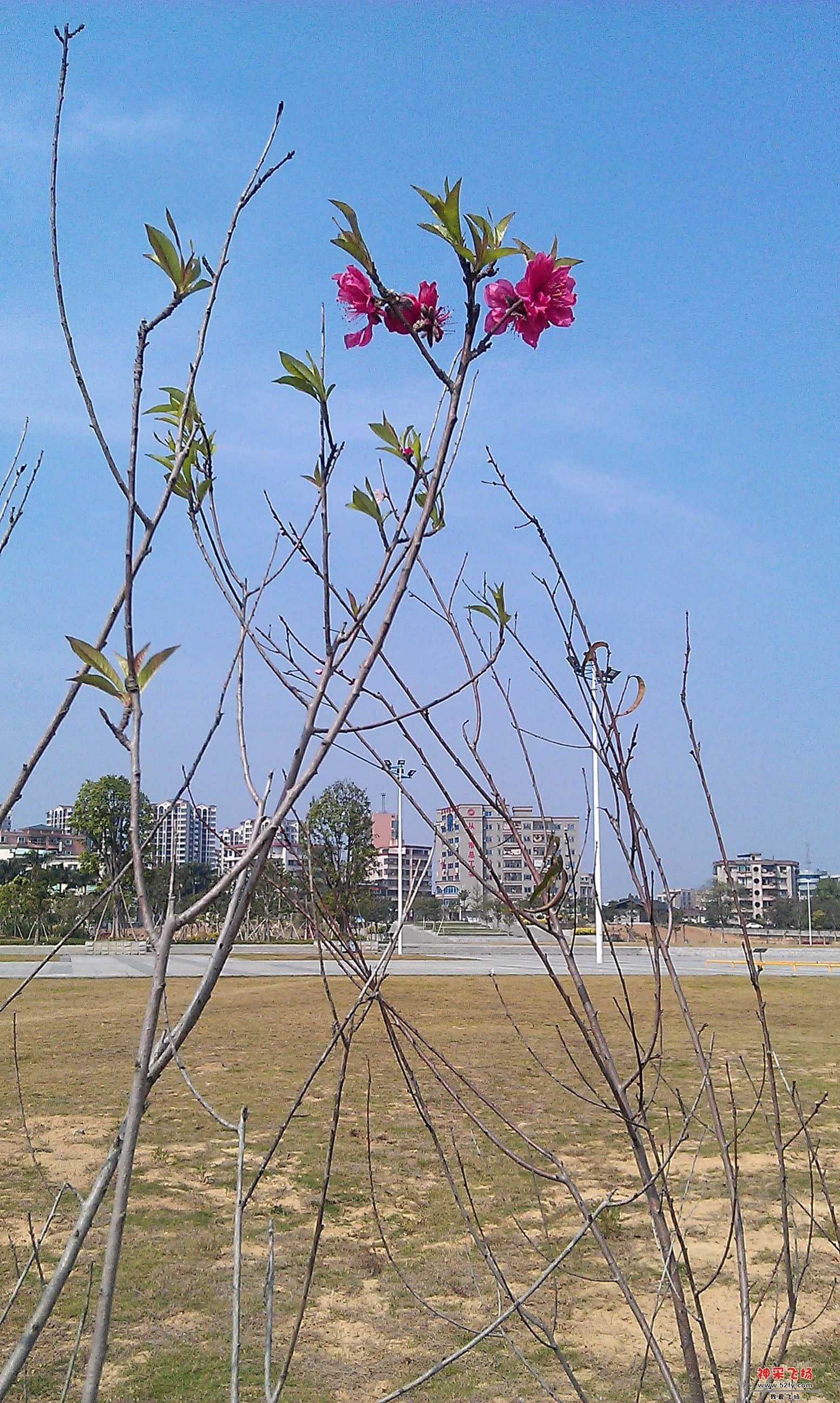 IMAG0017.jpg