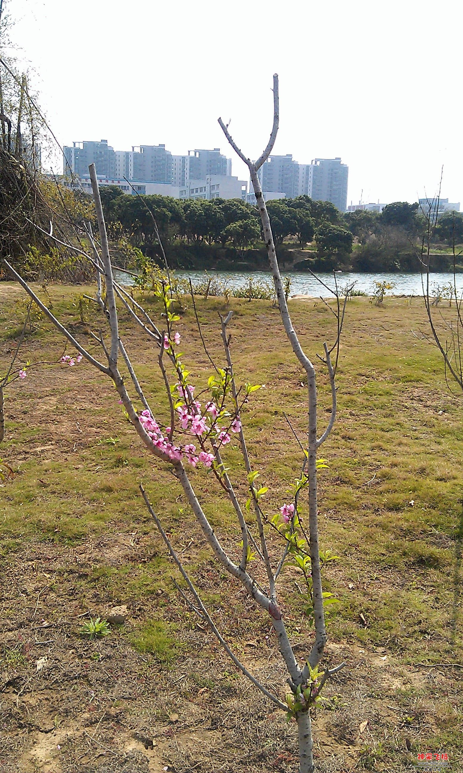 IMAG0019.jpg