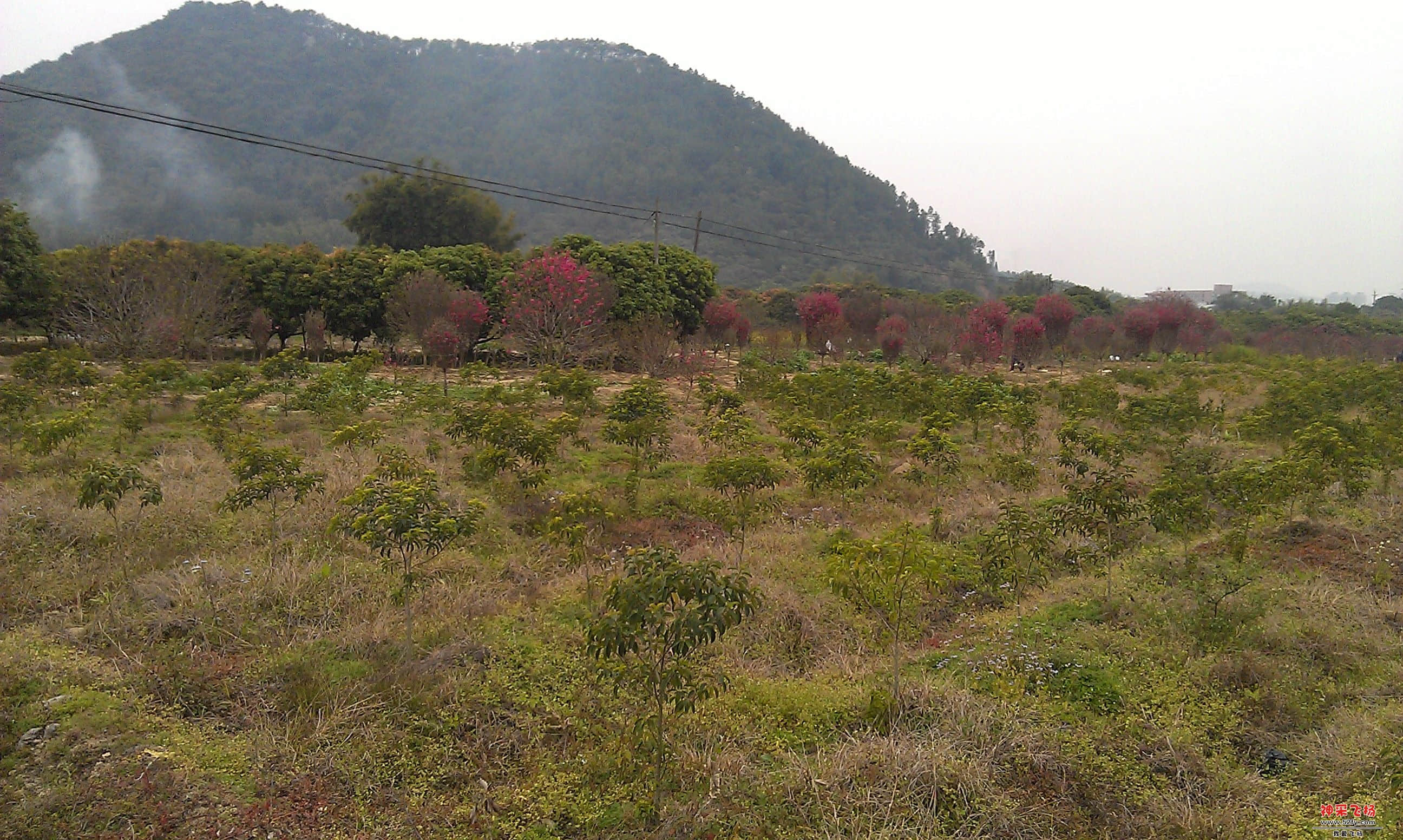 IMAG0018.jpg