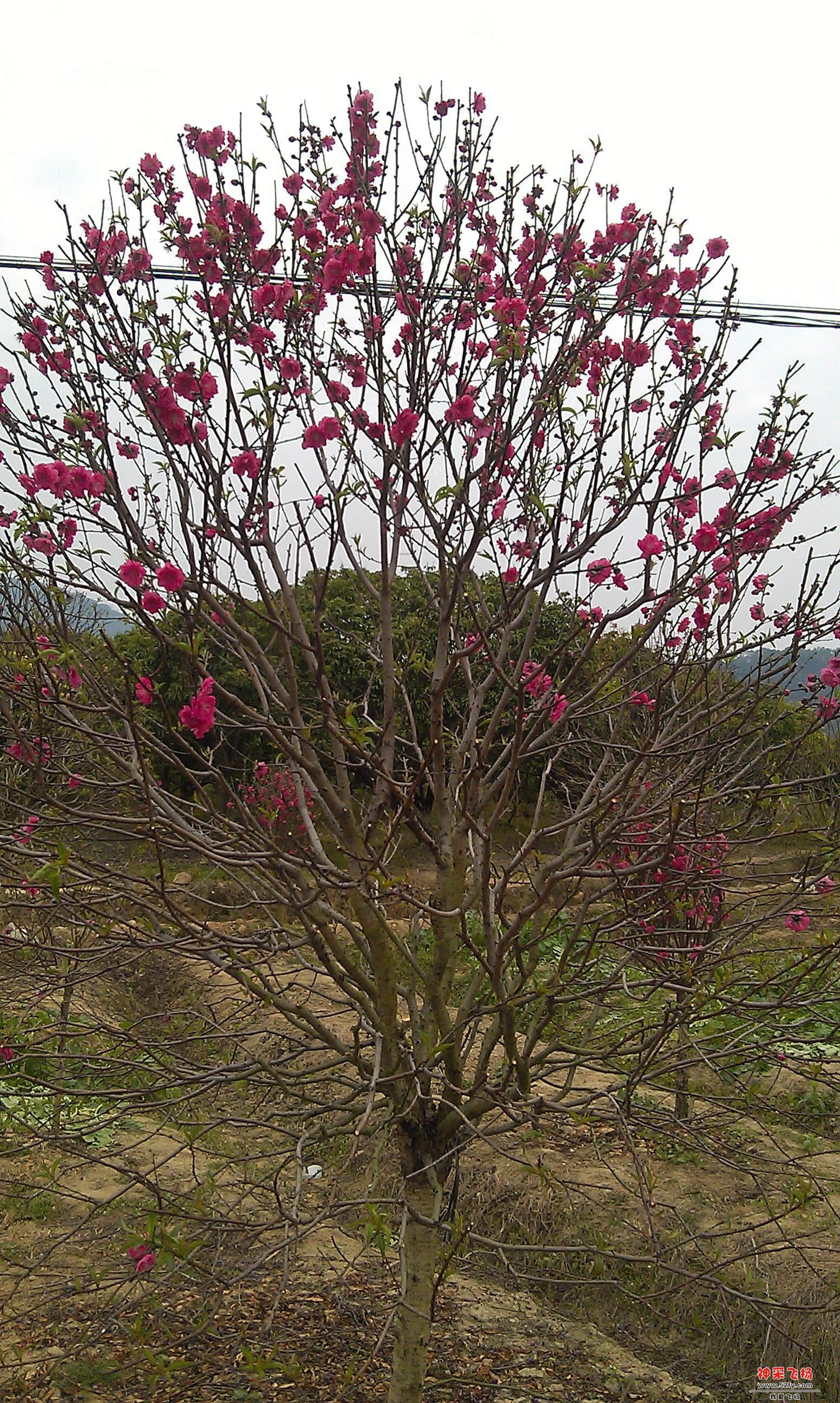 IMAG0019.jpg