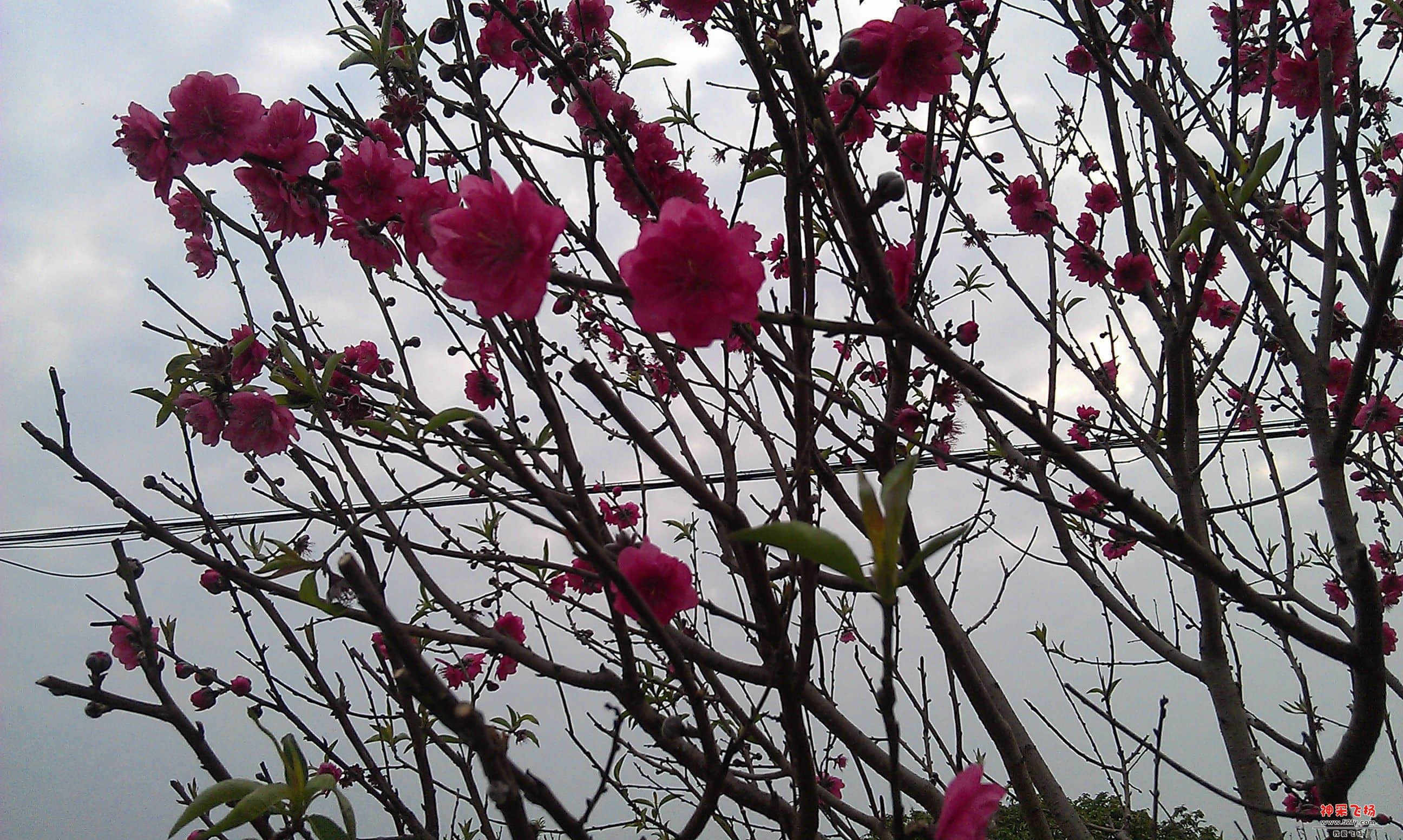 IMAG0020.jpg