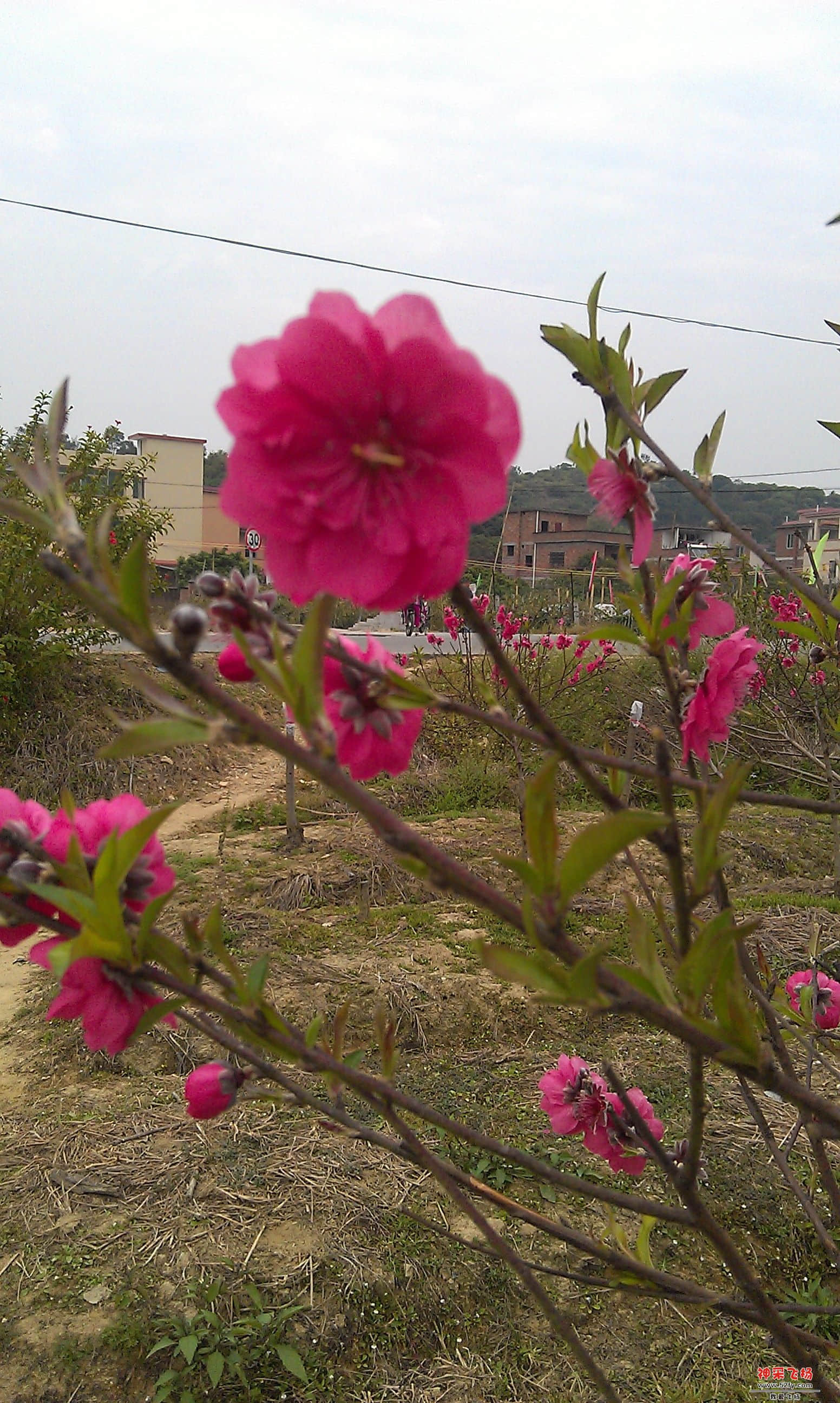 IMAG0022.jpg