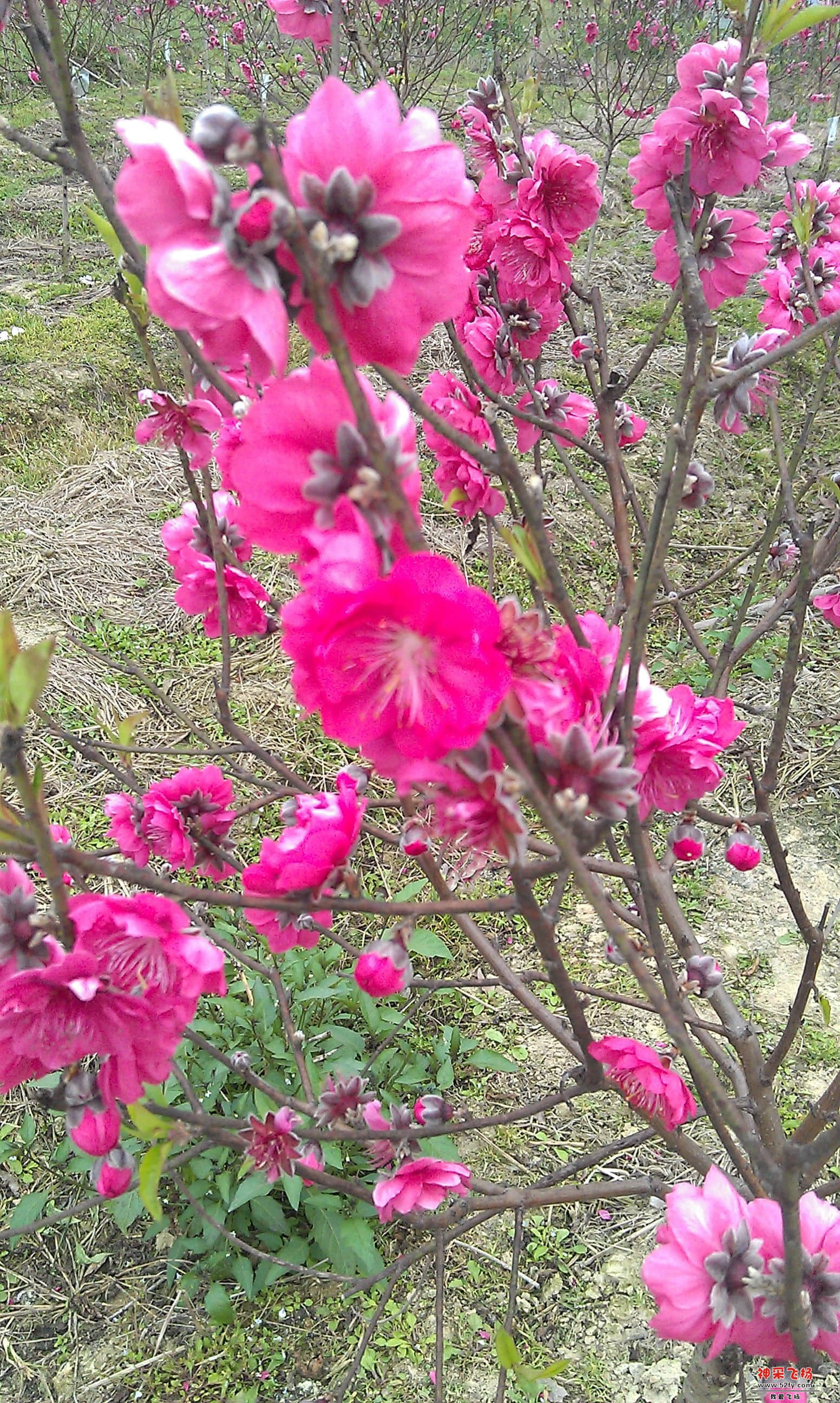 IMAG0023.jpg