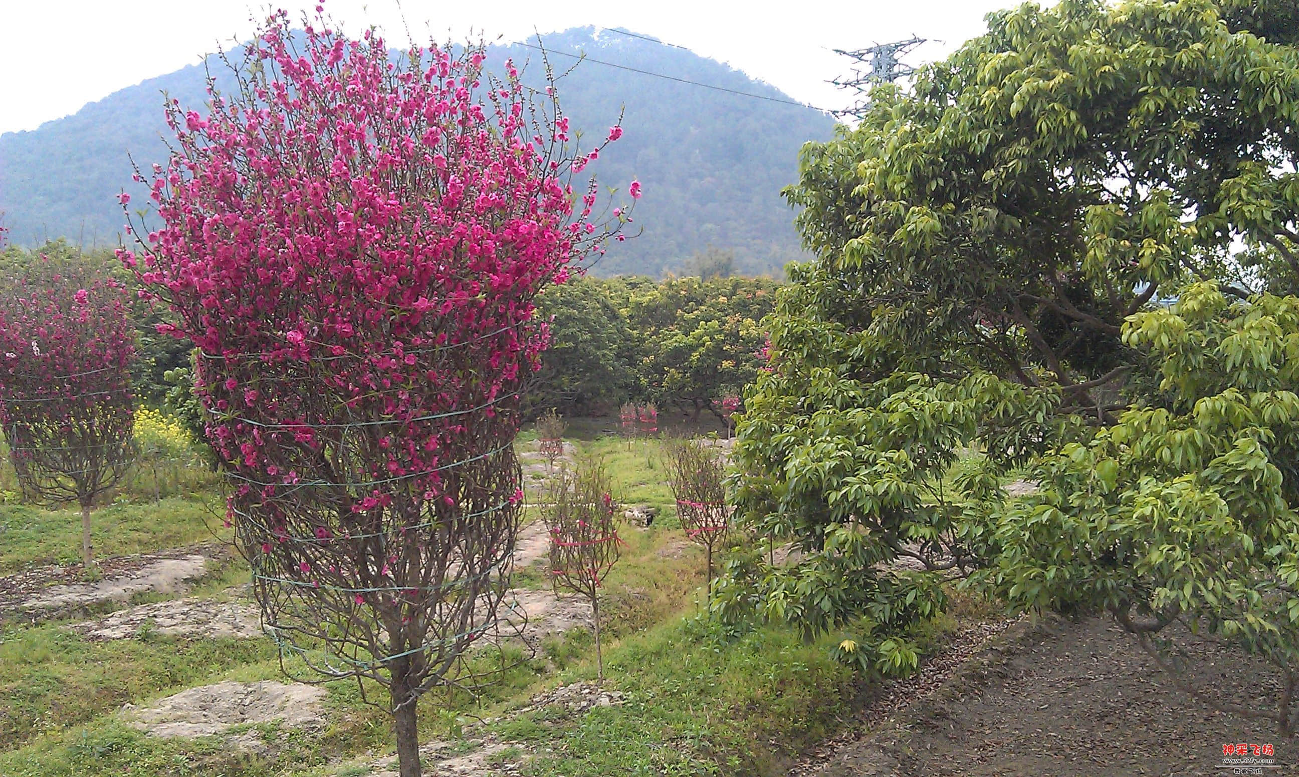IMAG0029.jpg