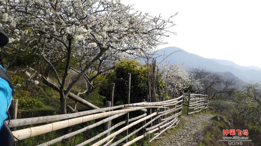 230613v61bx3mib1nowttt.jpg