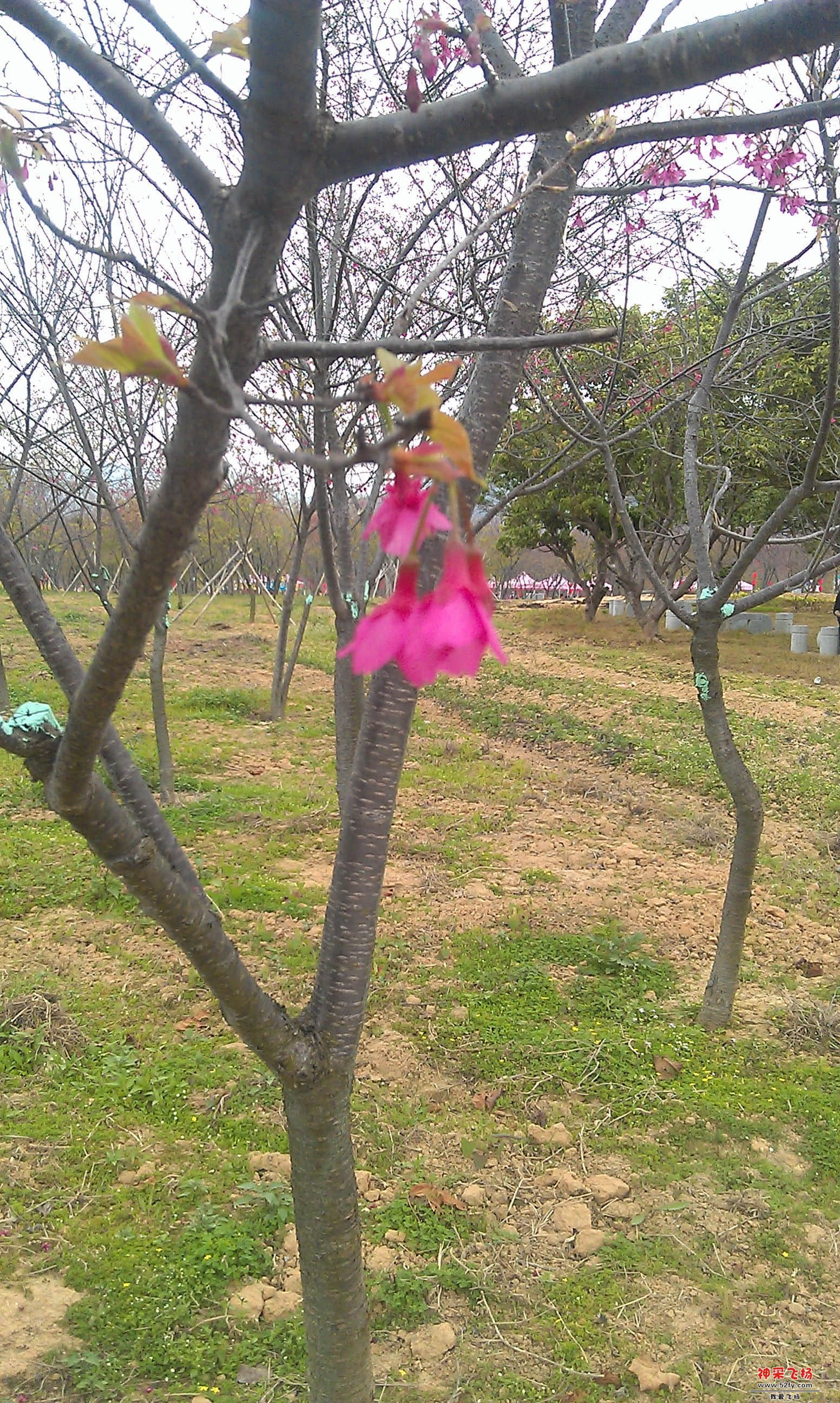 IMAG0074.jpg