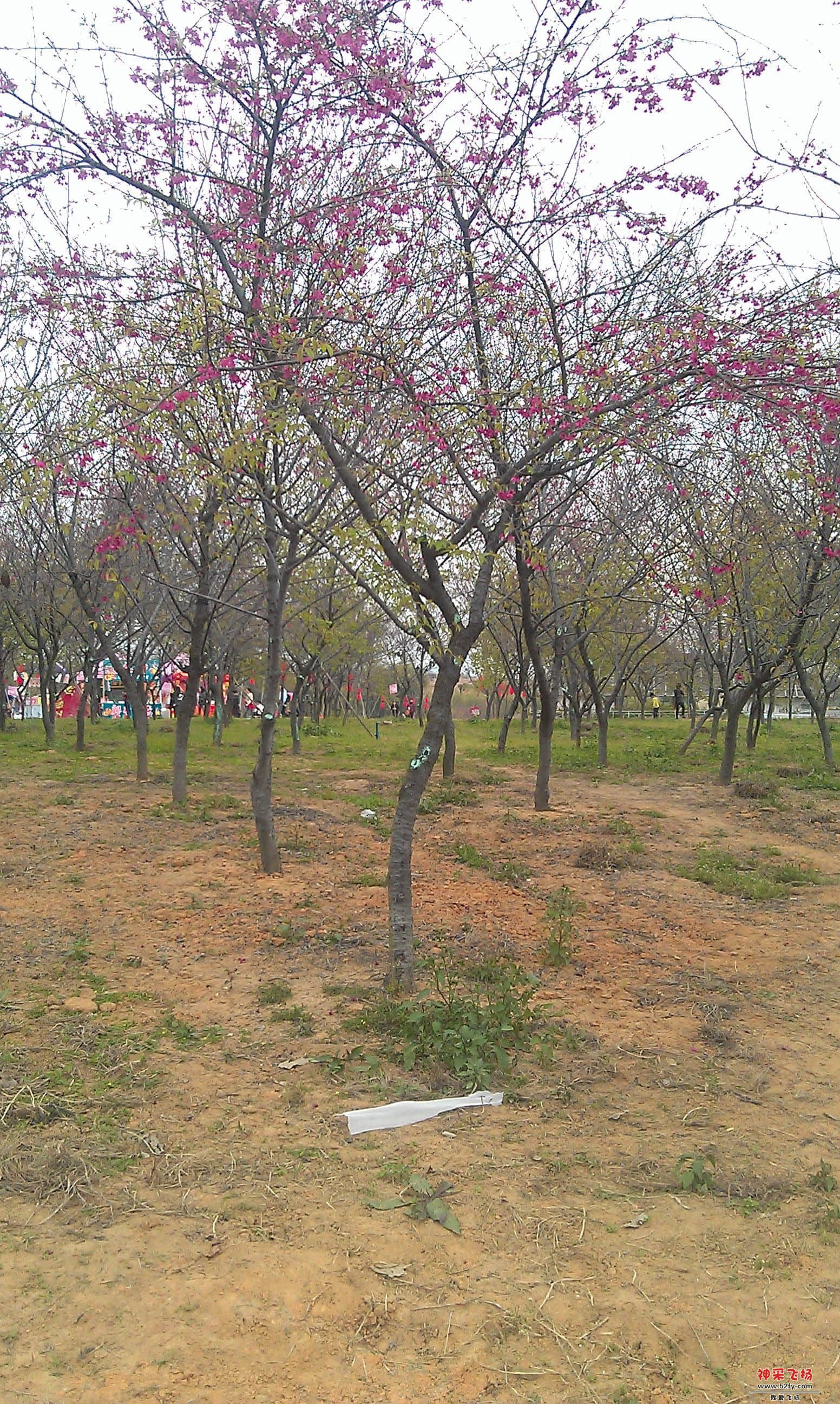 IMAG0076.jpg