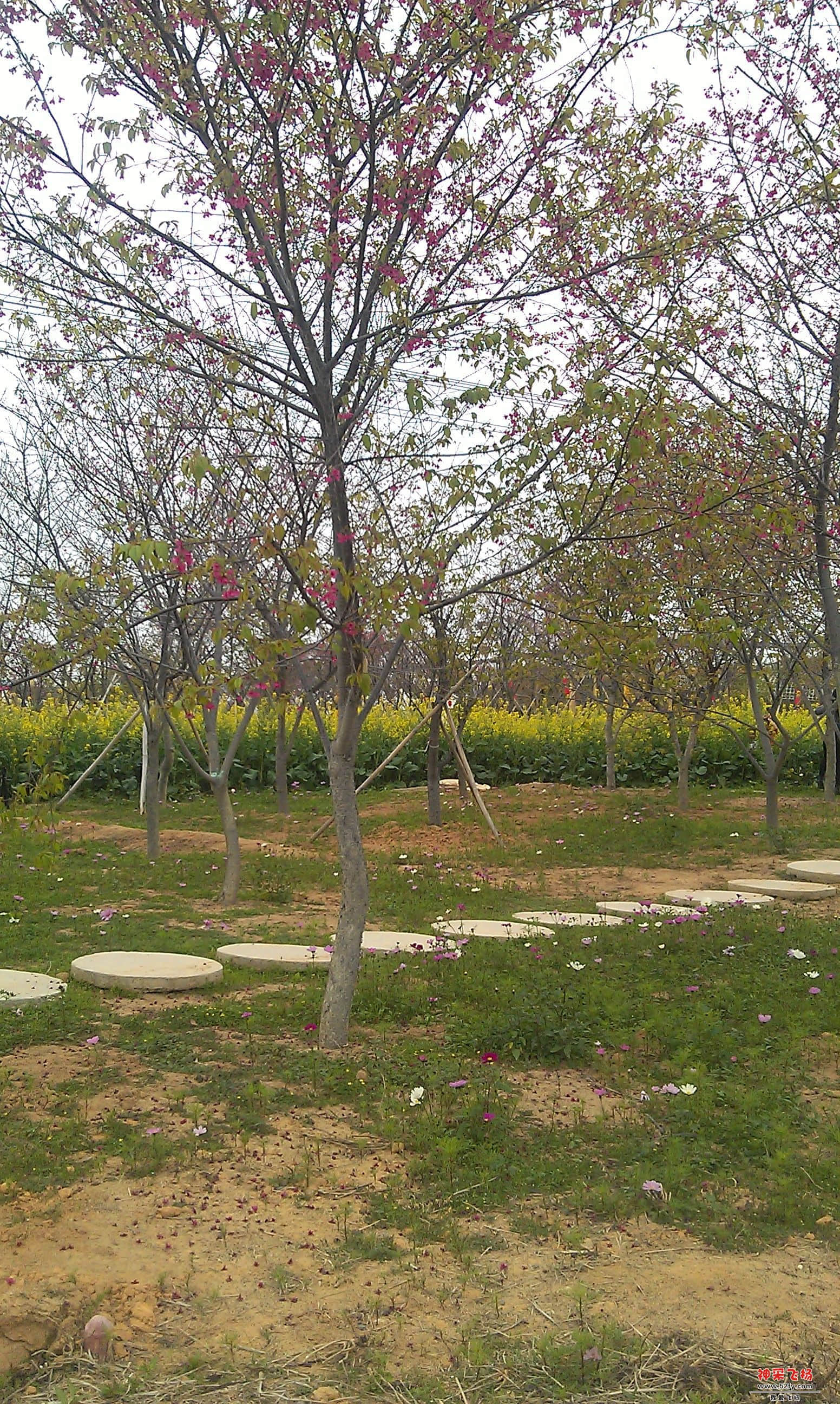 IMAG0079.jpg