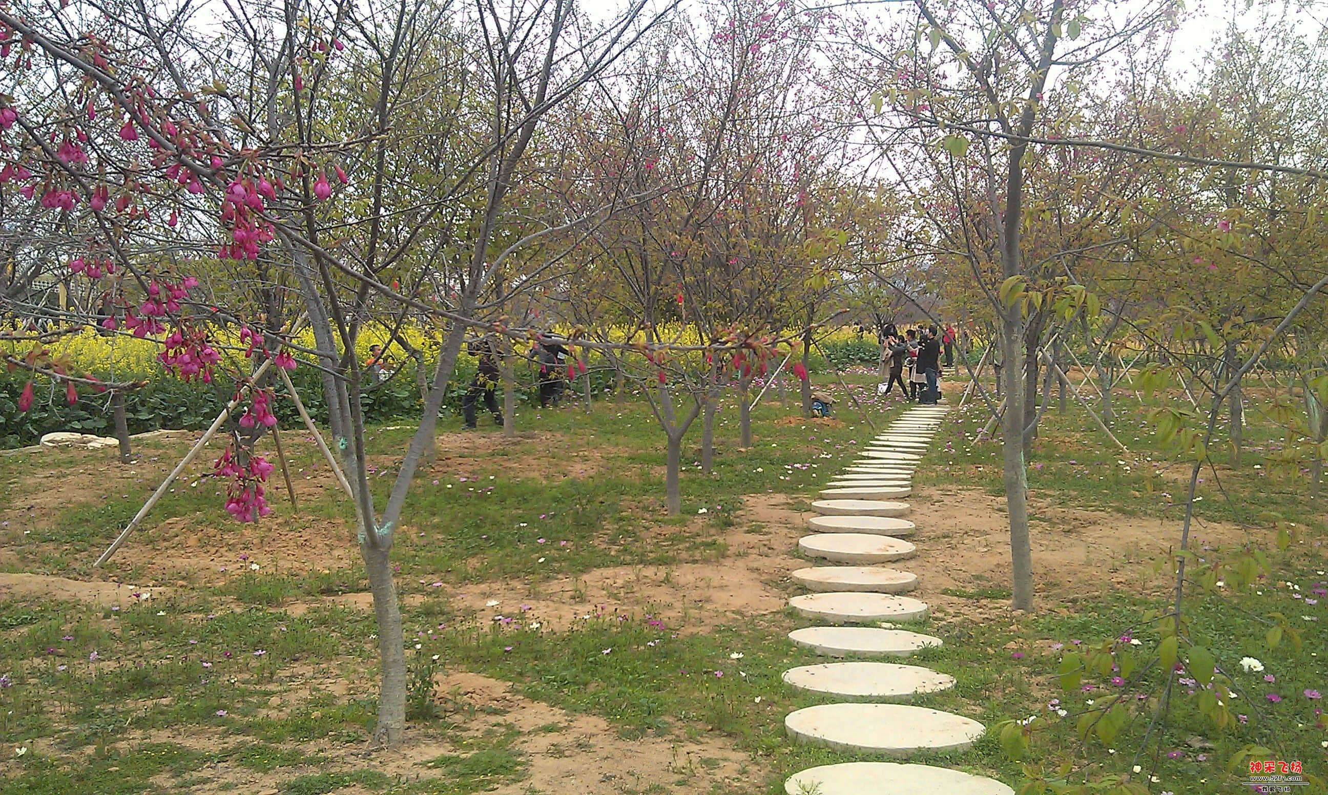 IMAG0080.jpg