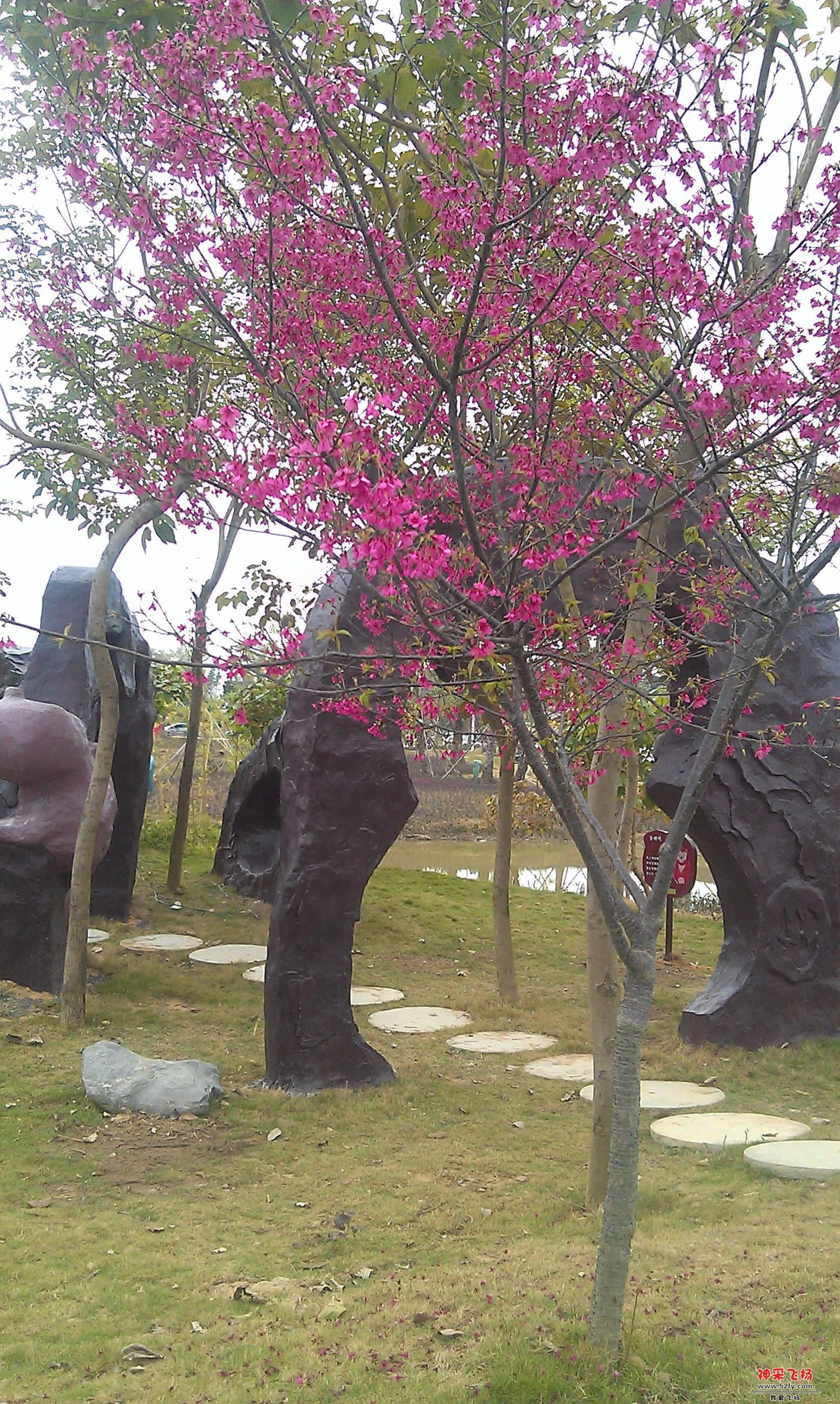 IMAG0090.jpg