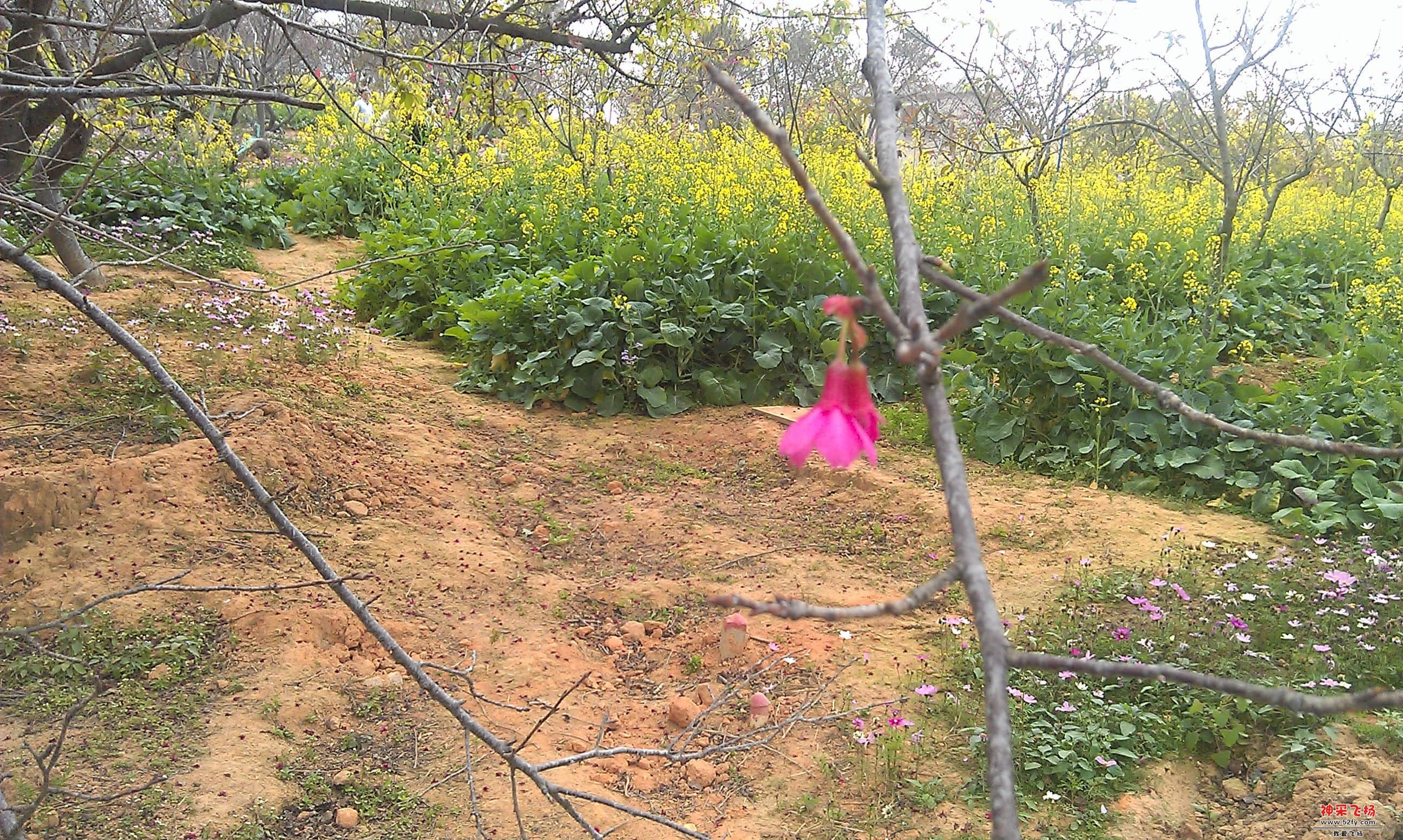 IMAG0093.jpg