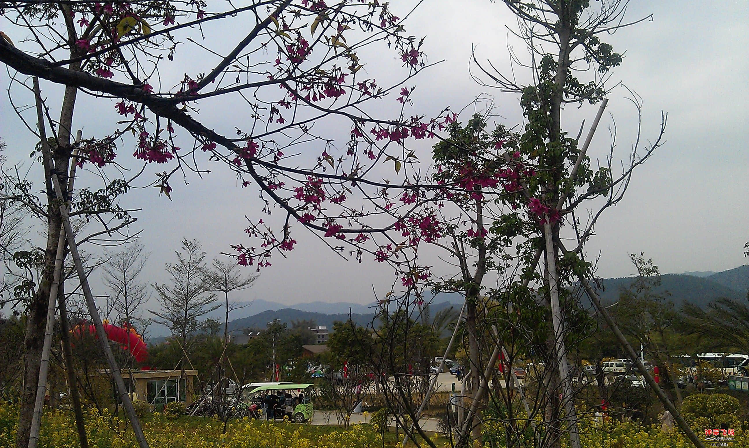 IMAG0094.jpg