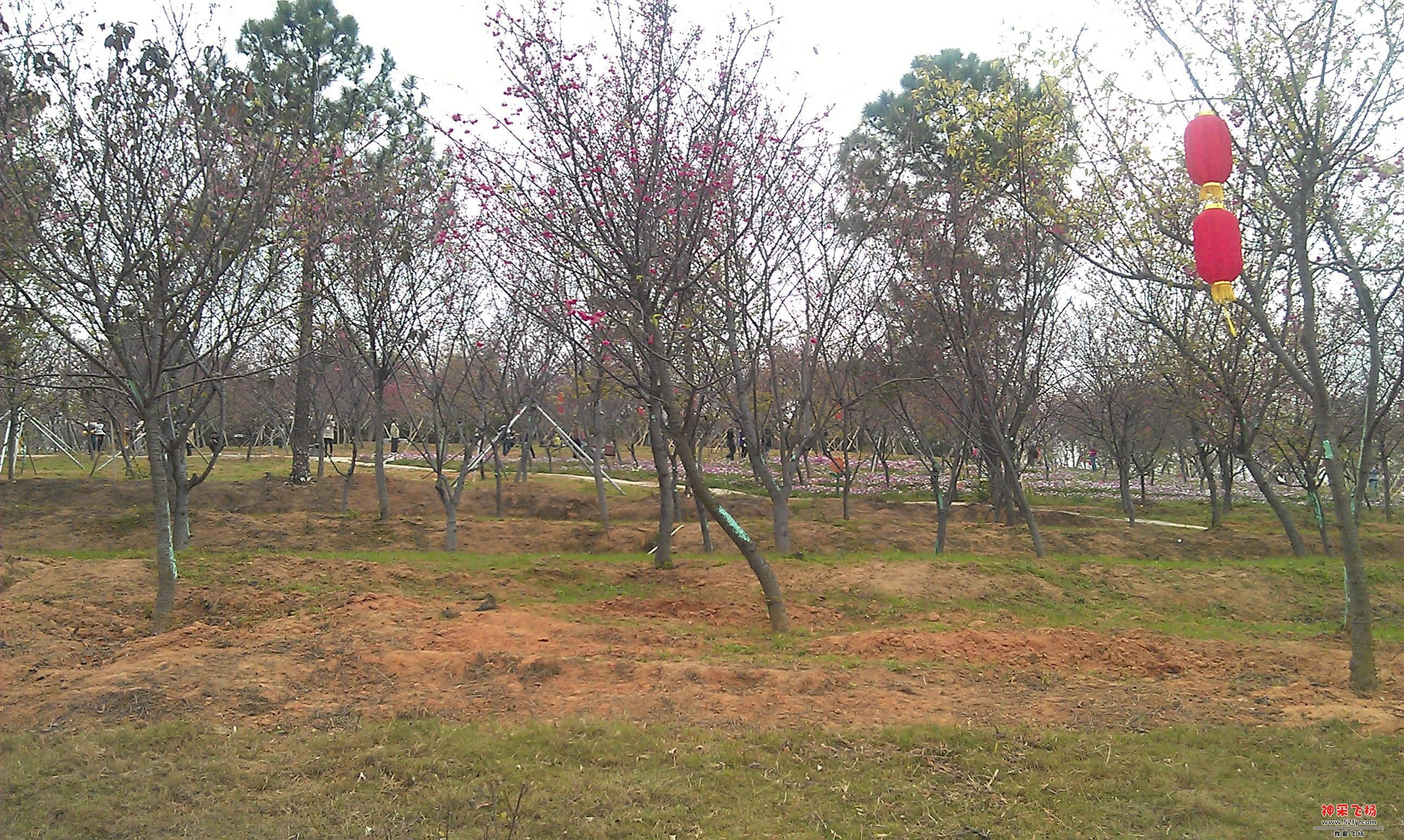 IMAG0100.jpg