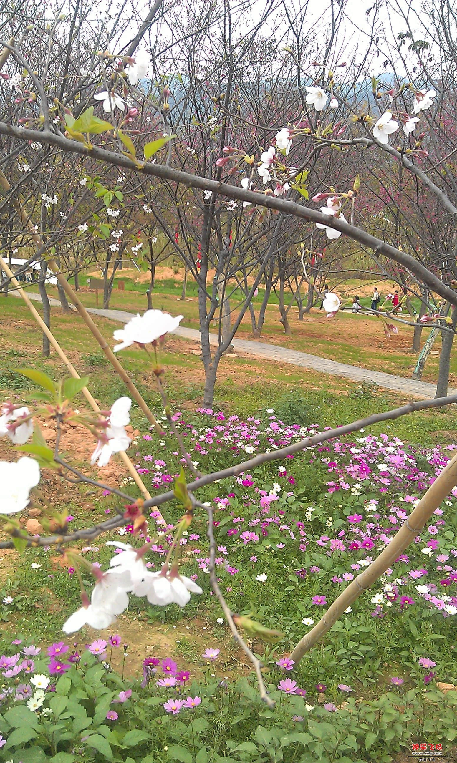 IMAG0103.jpg