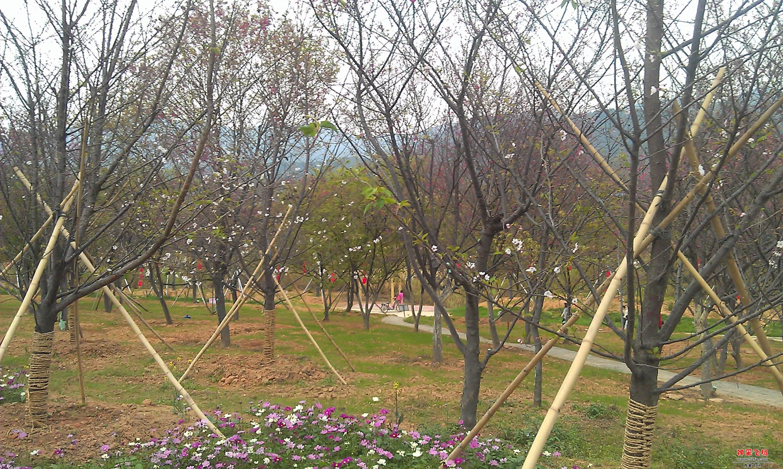 IMAG0104.jpg