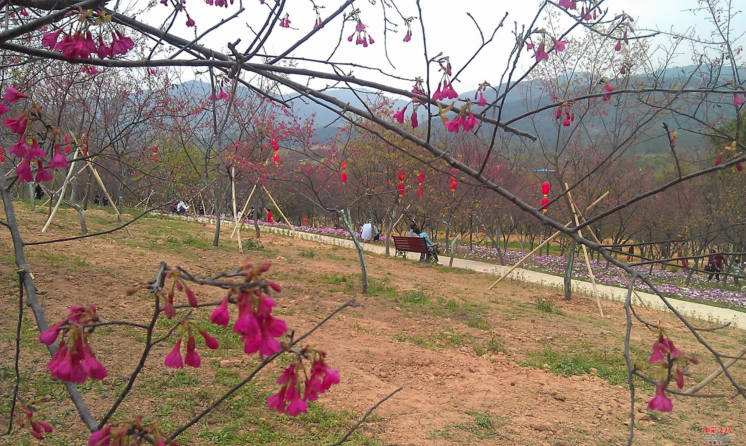 IMAG0109.jpg