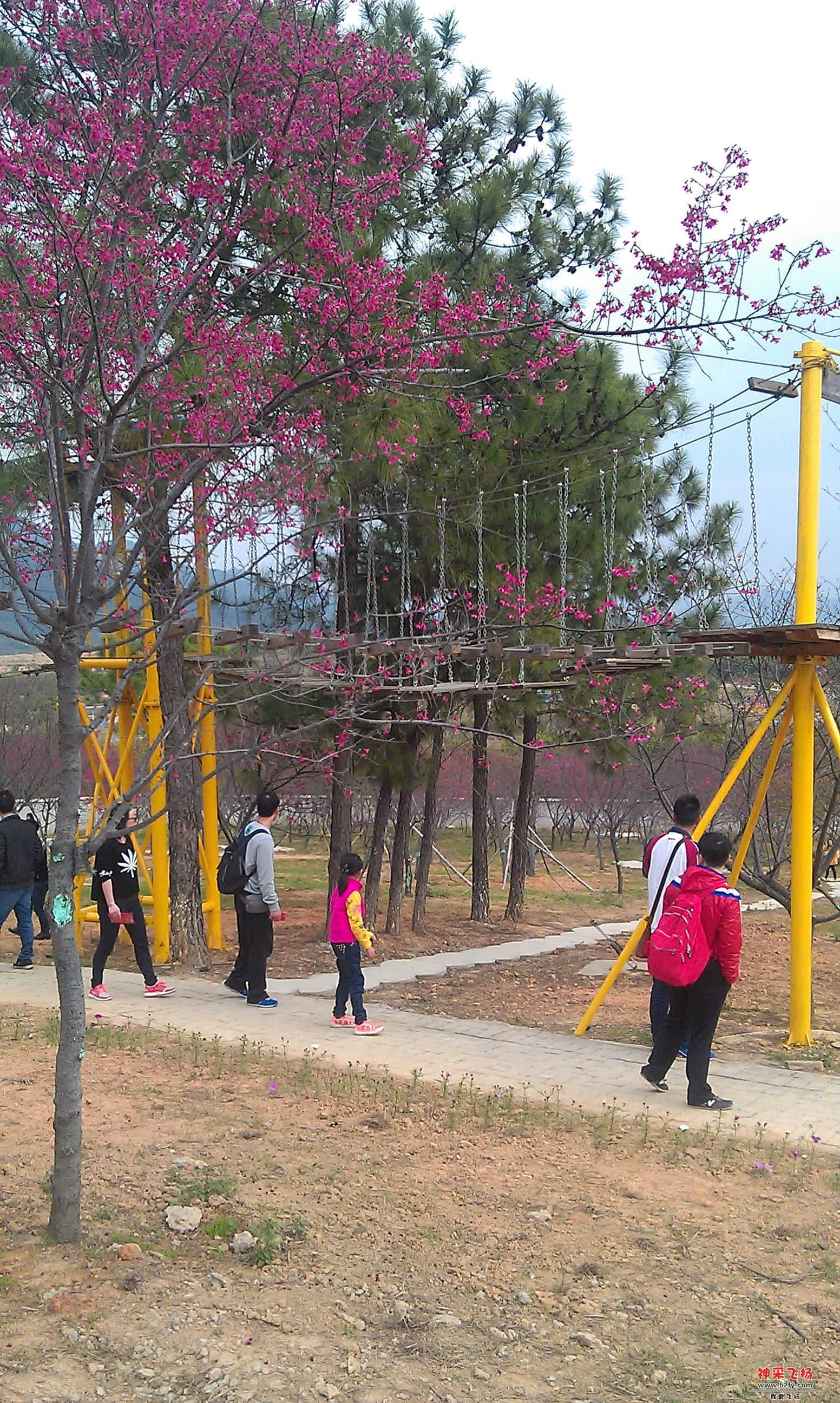 IMAG0112.jpg
