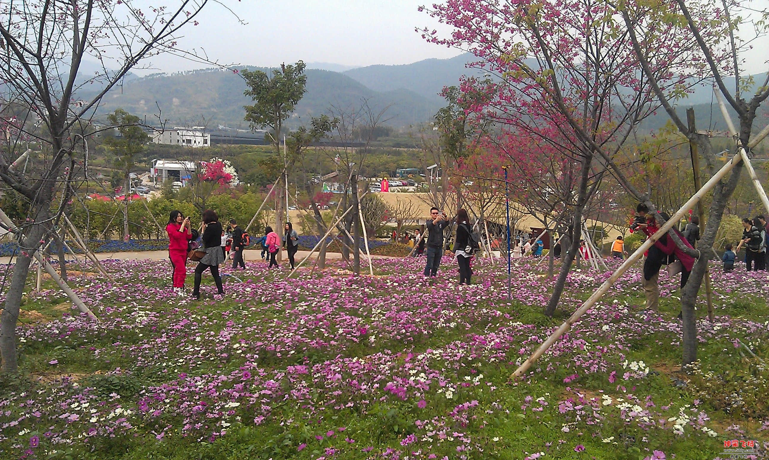 IMAG0117.jpg