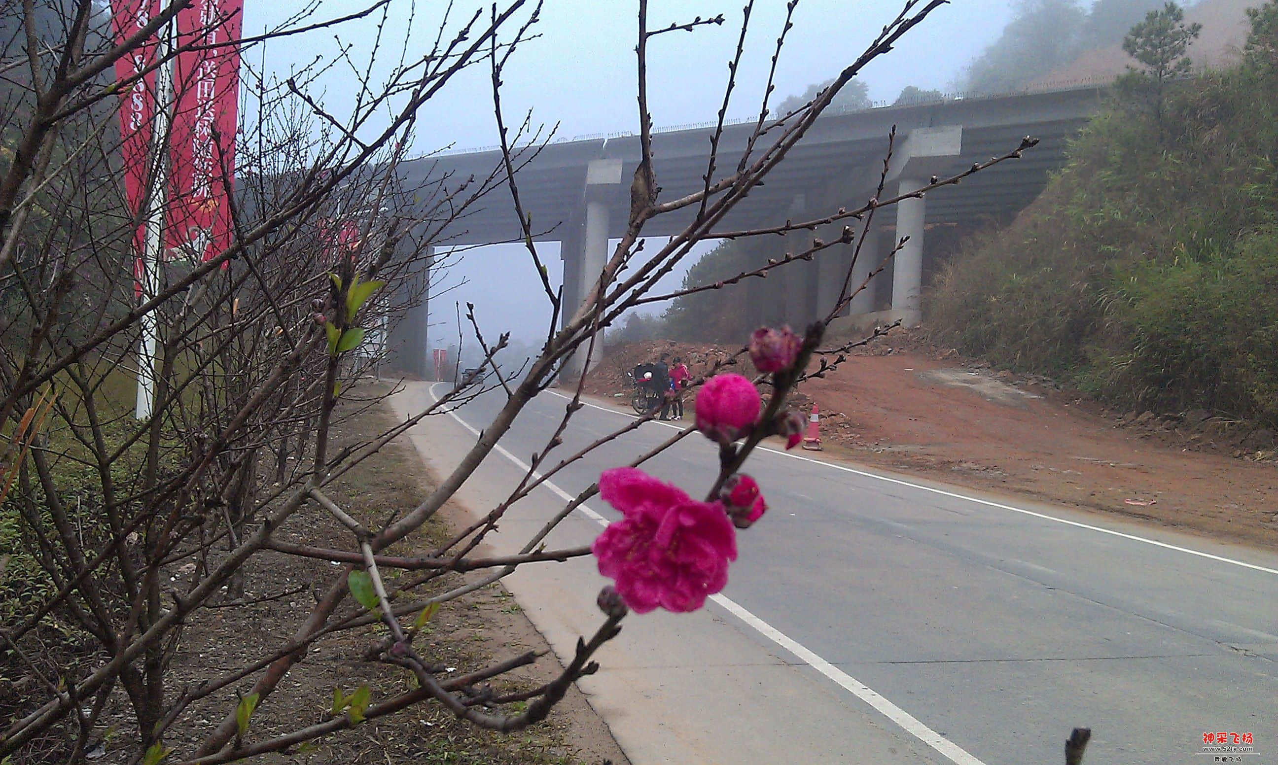 IMAG0017.jpg