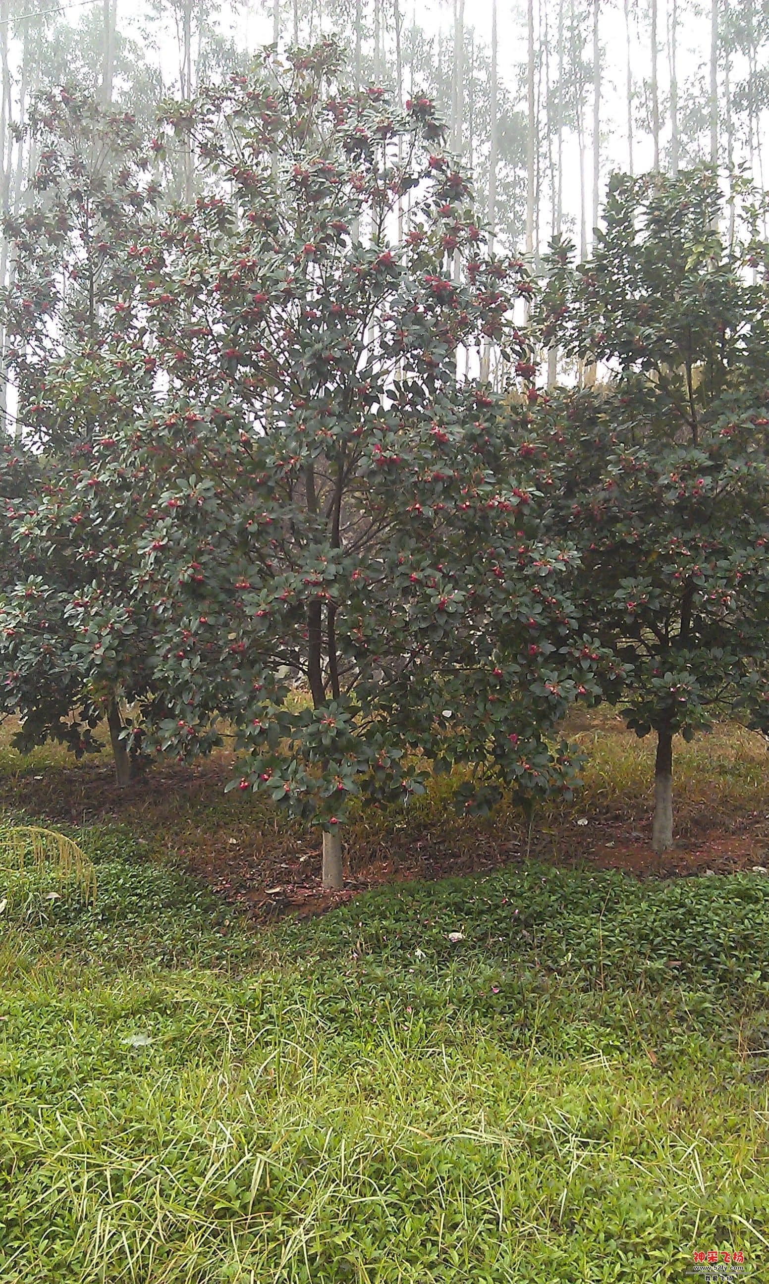 IMAG0018.jpg