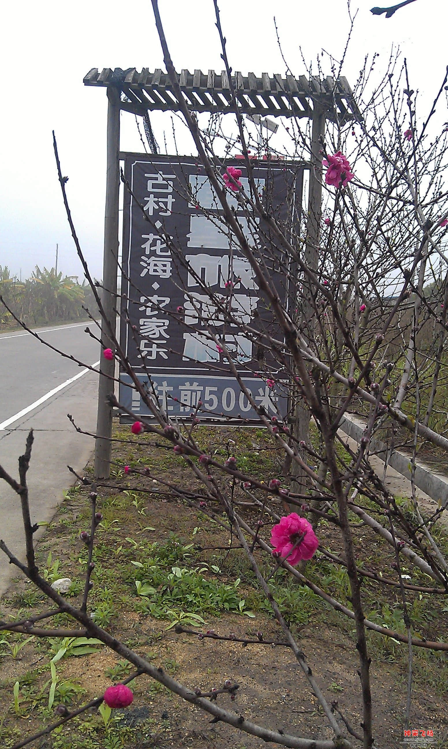 IMAG0019.jpg