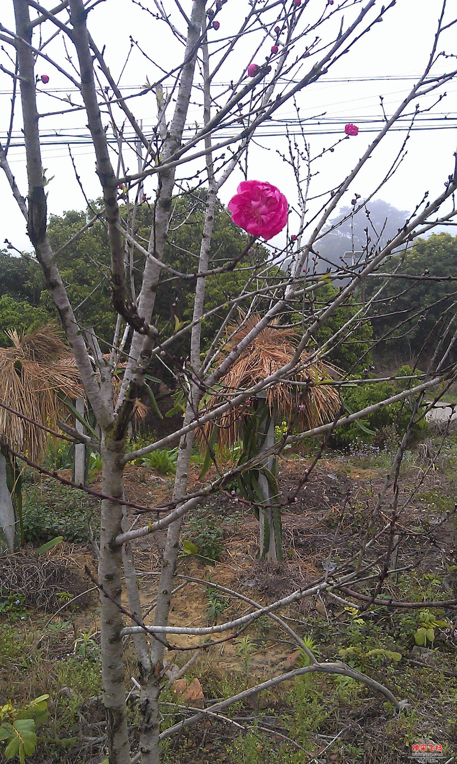 IMAG0021.jpg
