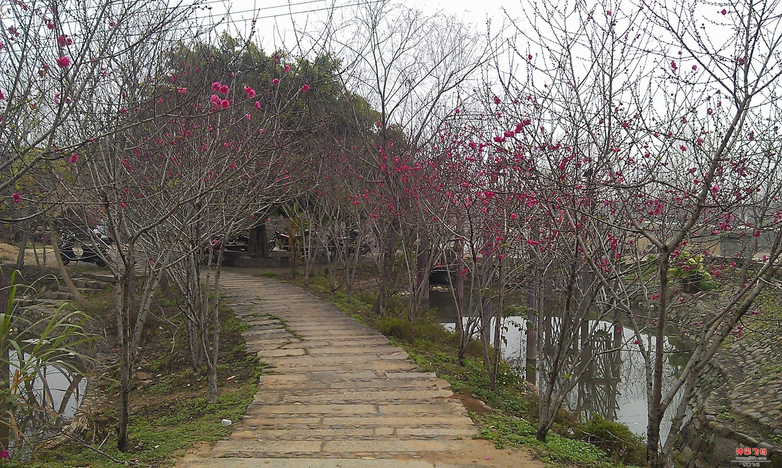 IMAG0023.jpg