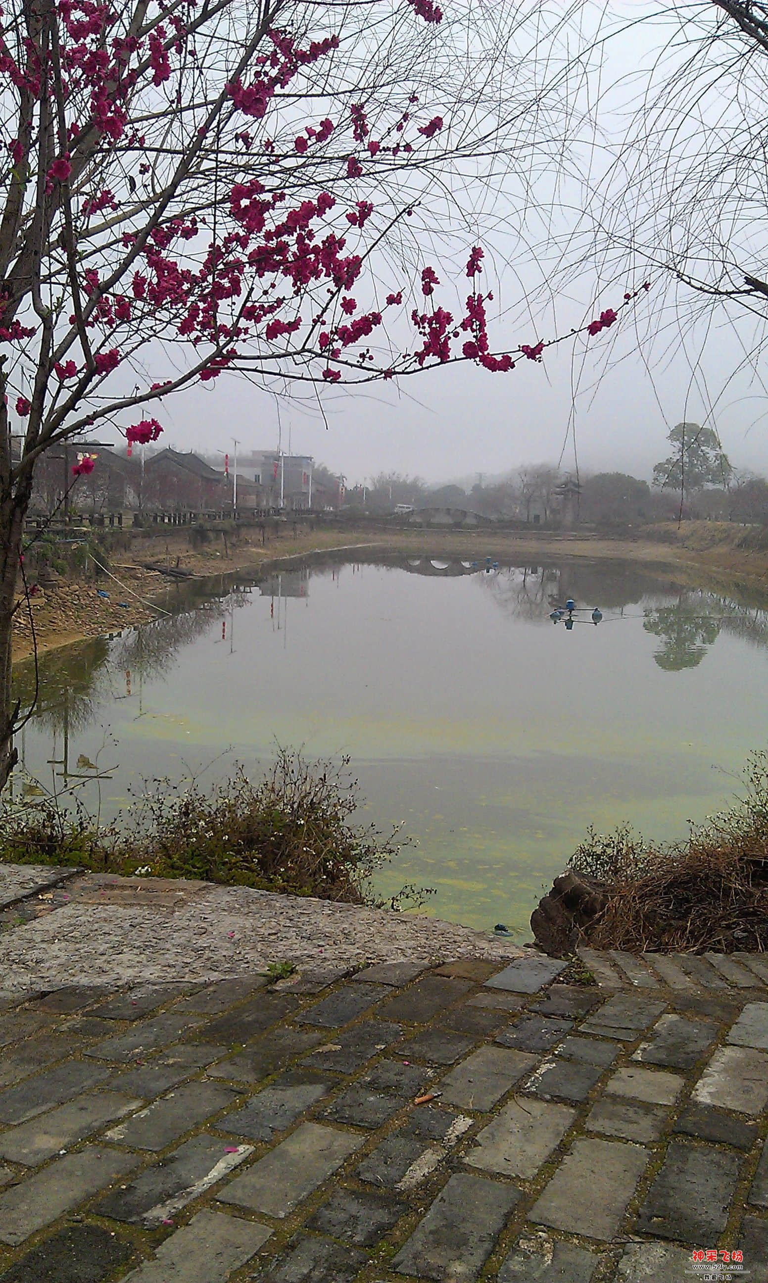 IMAG0028.jpg