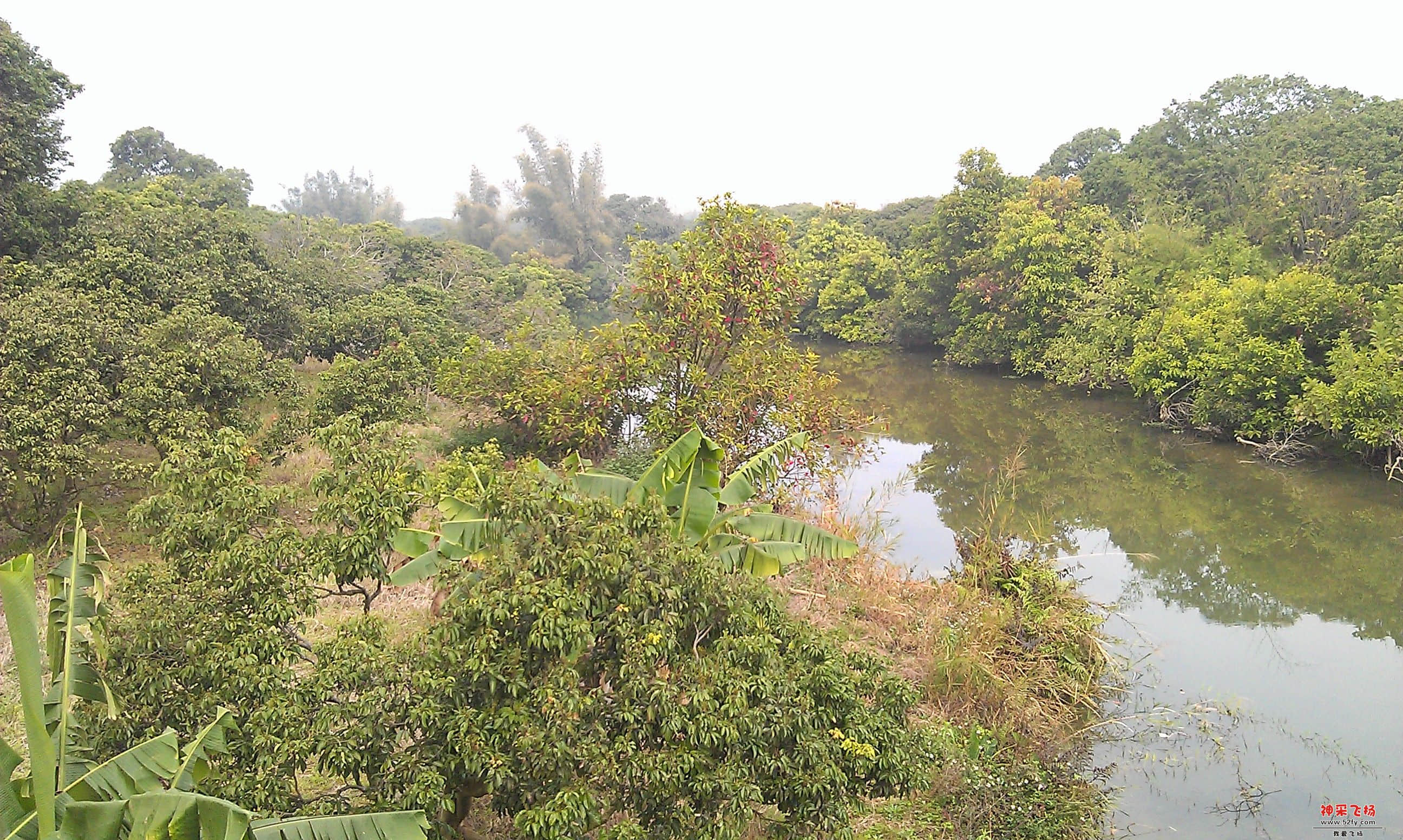 IMAG0046.jpg