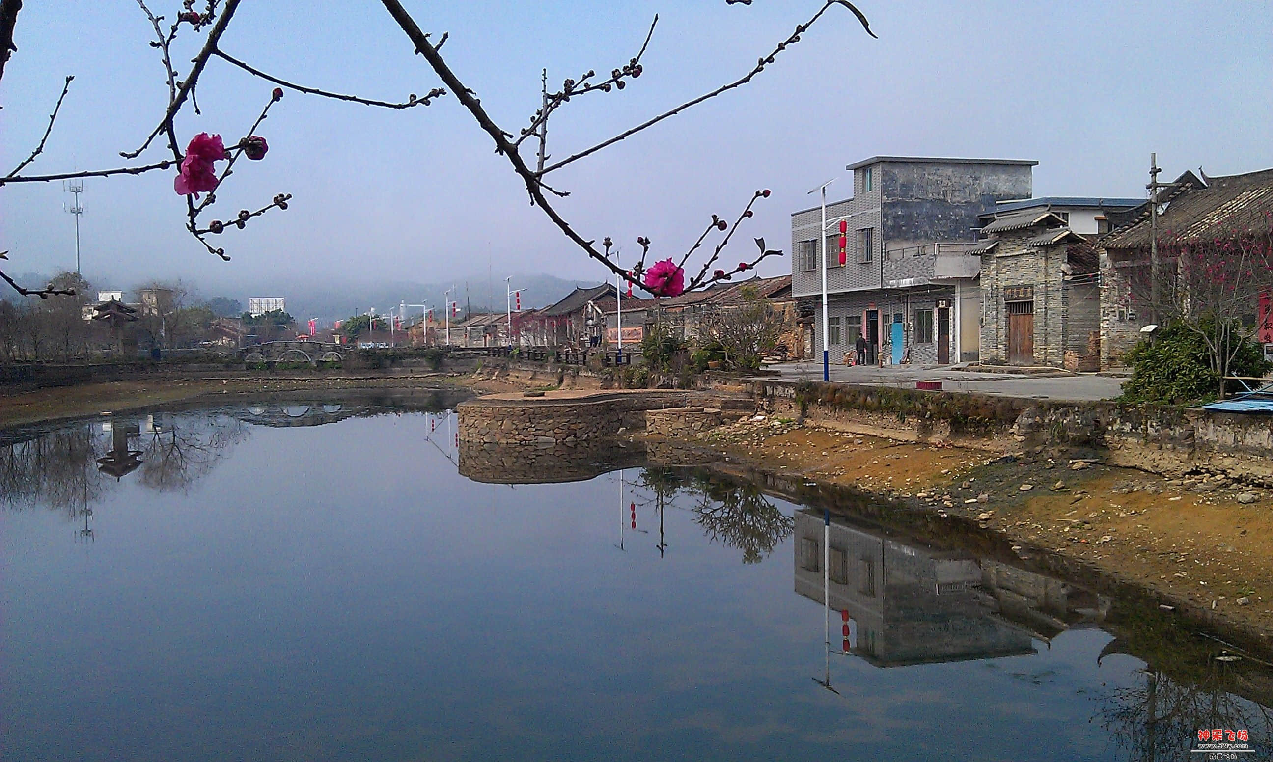 IMAG0048.jpg