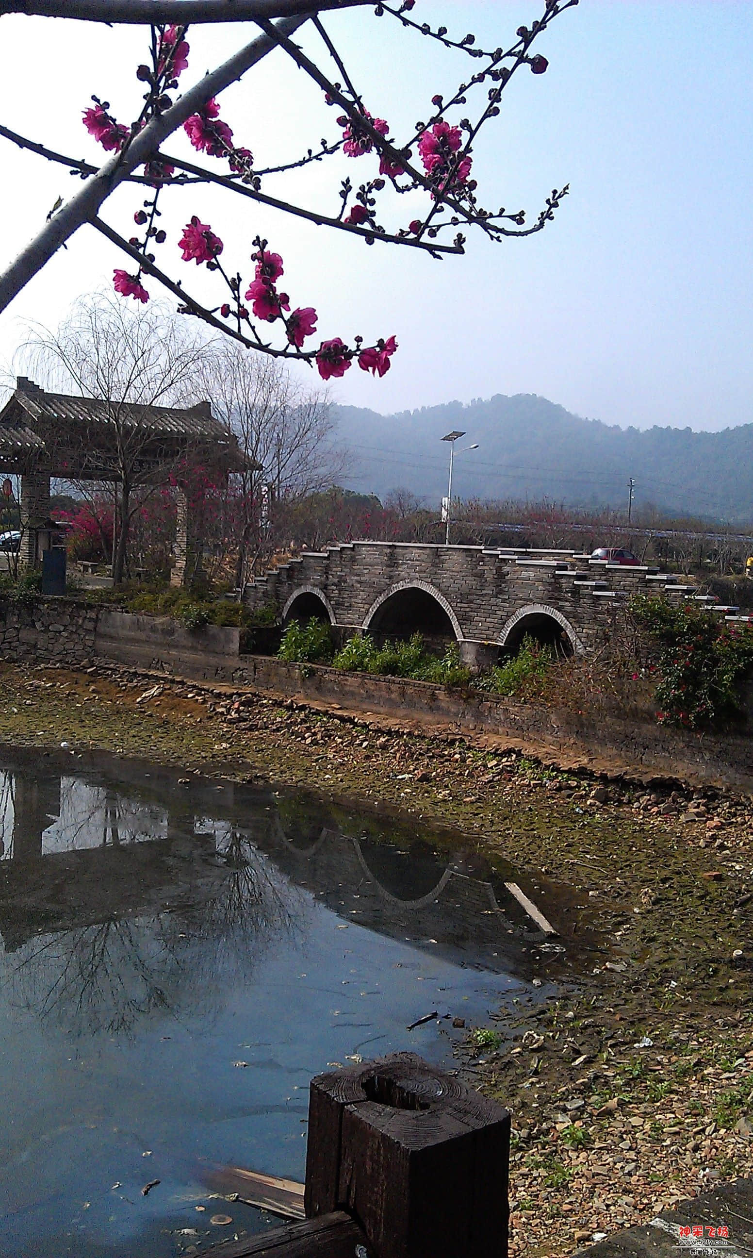IMAG0050.jpg