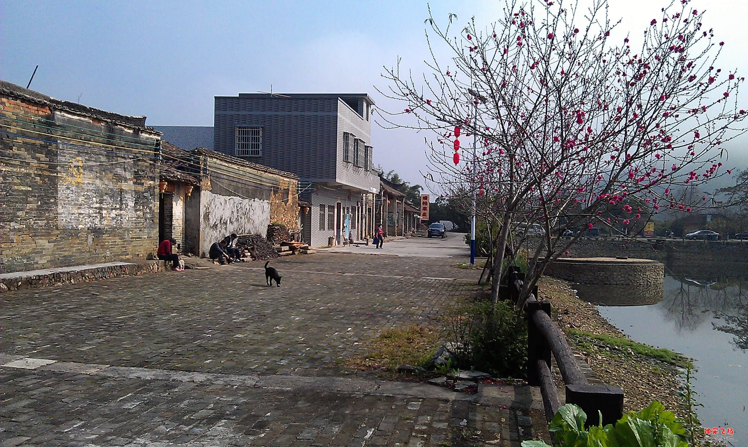 IMAG0051.jpg