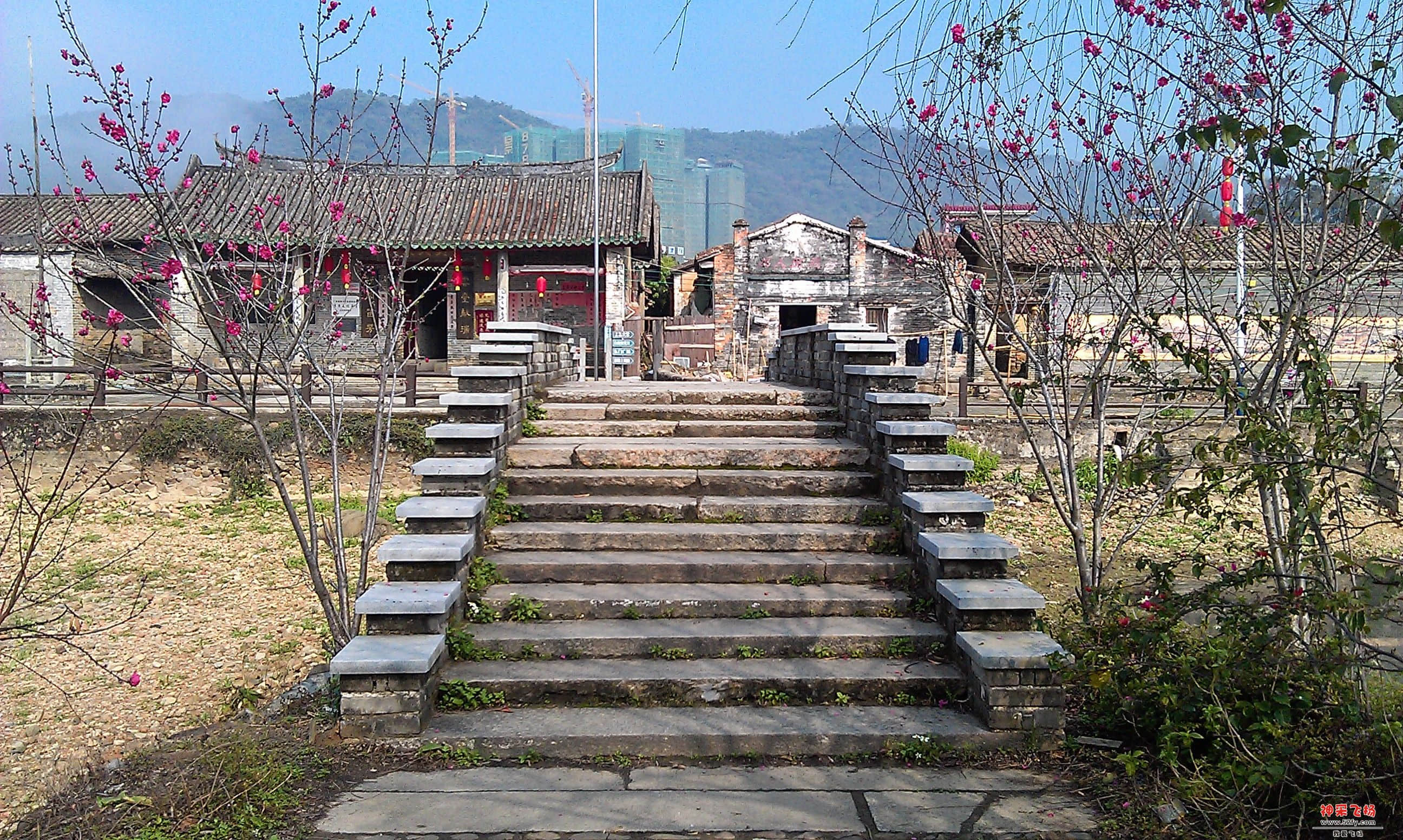 IMAG0053.jpg