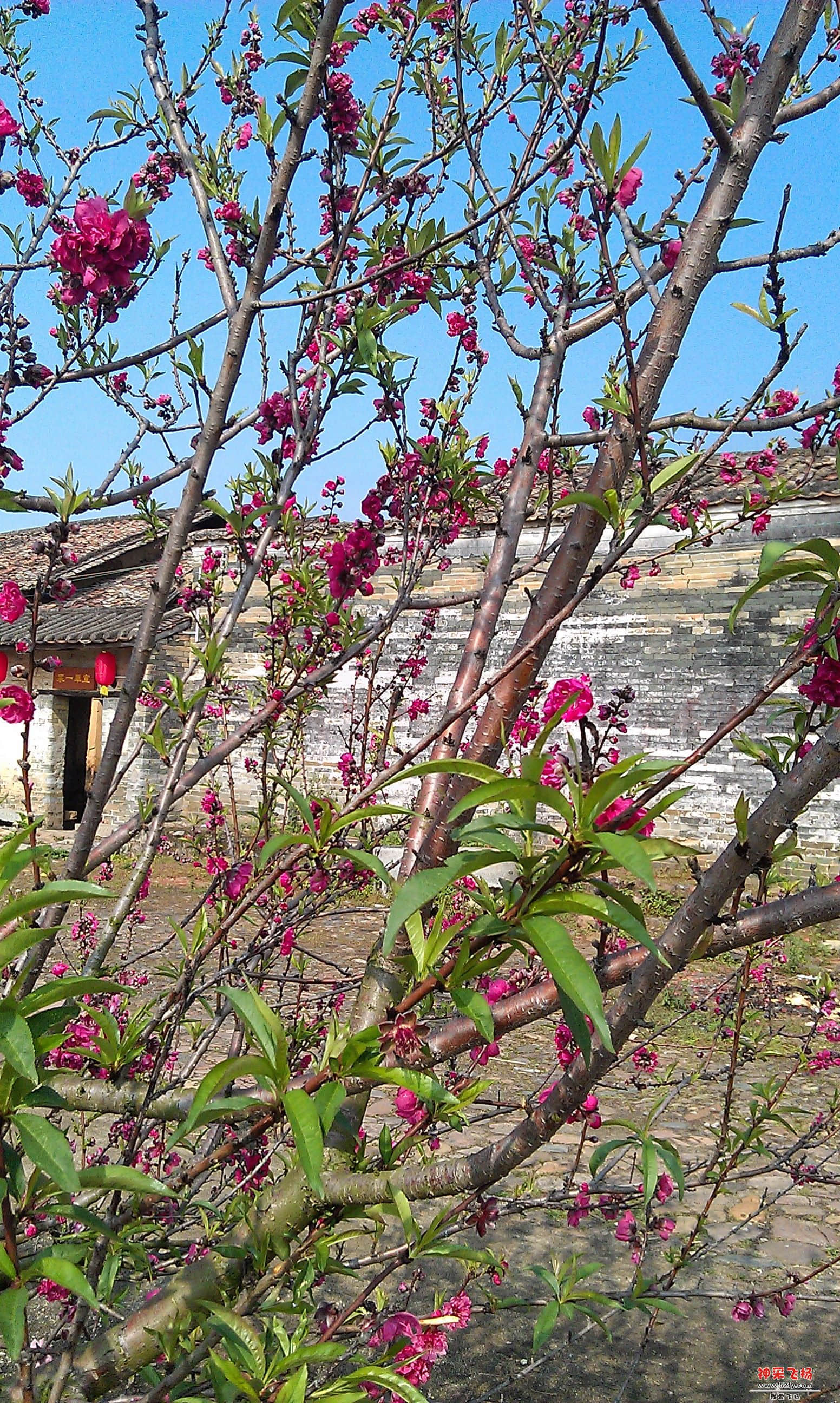 IMAG0056.jpg