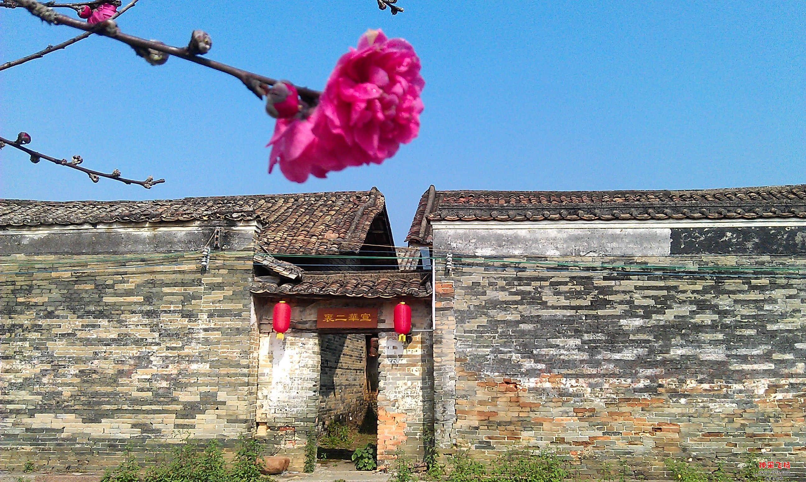 IMAG0060.jpg