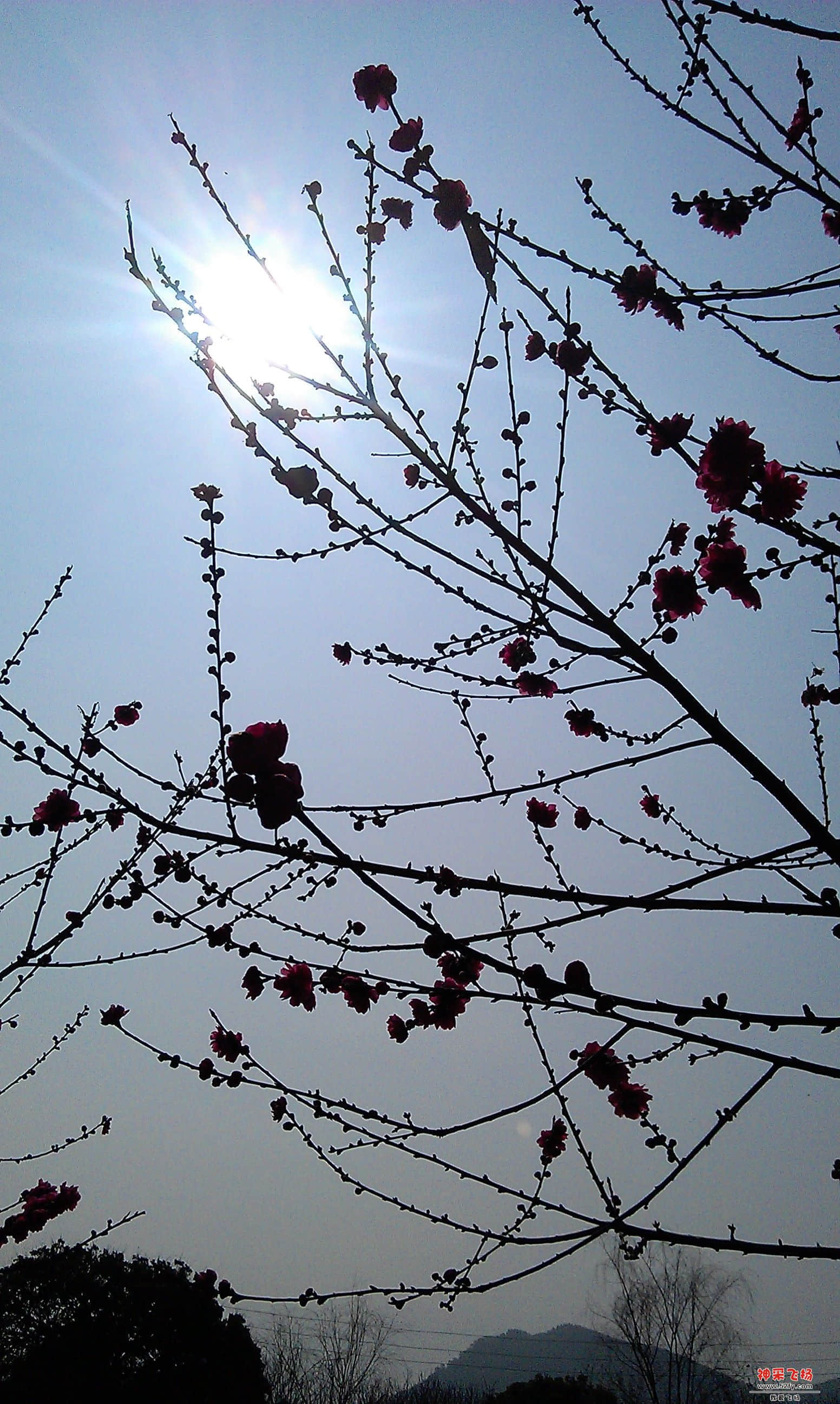 IMAG0065.jpg