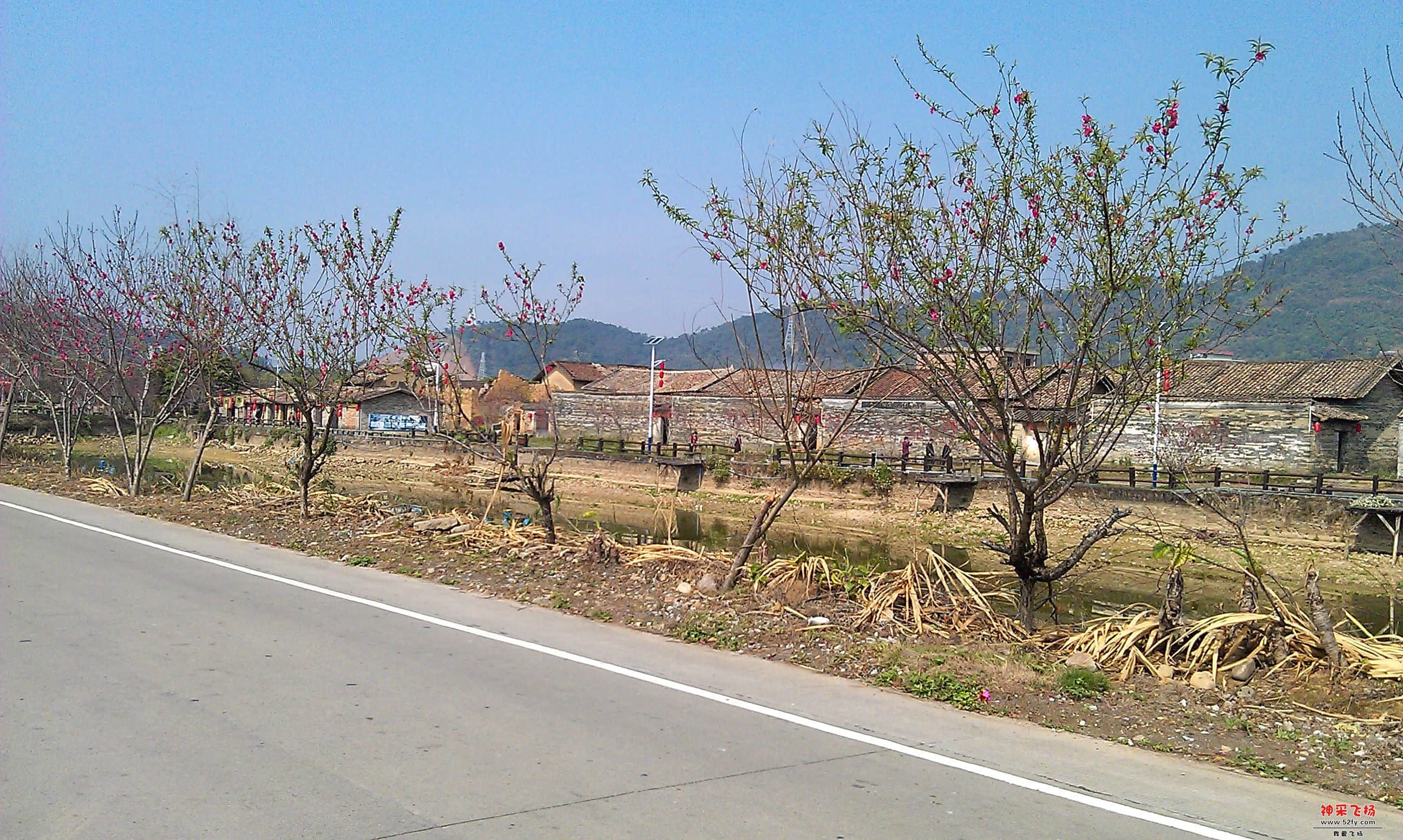 IMAG0069.jpg